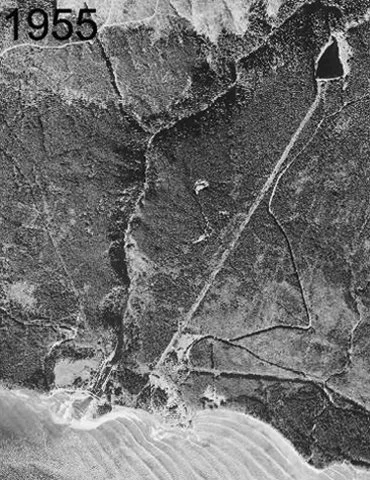 jrwa_1955.jpg