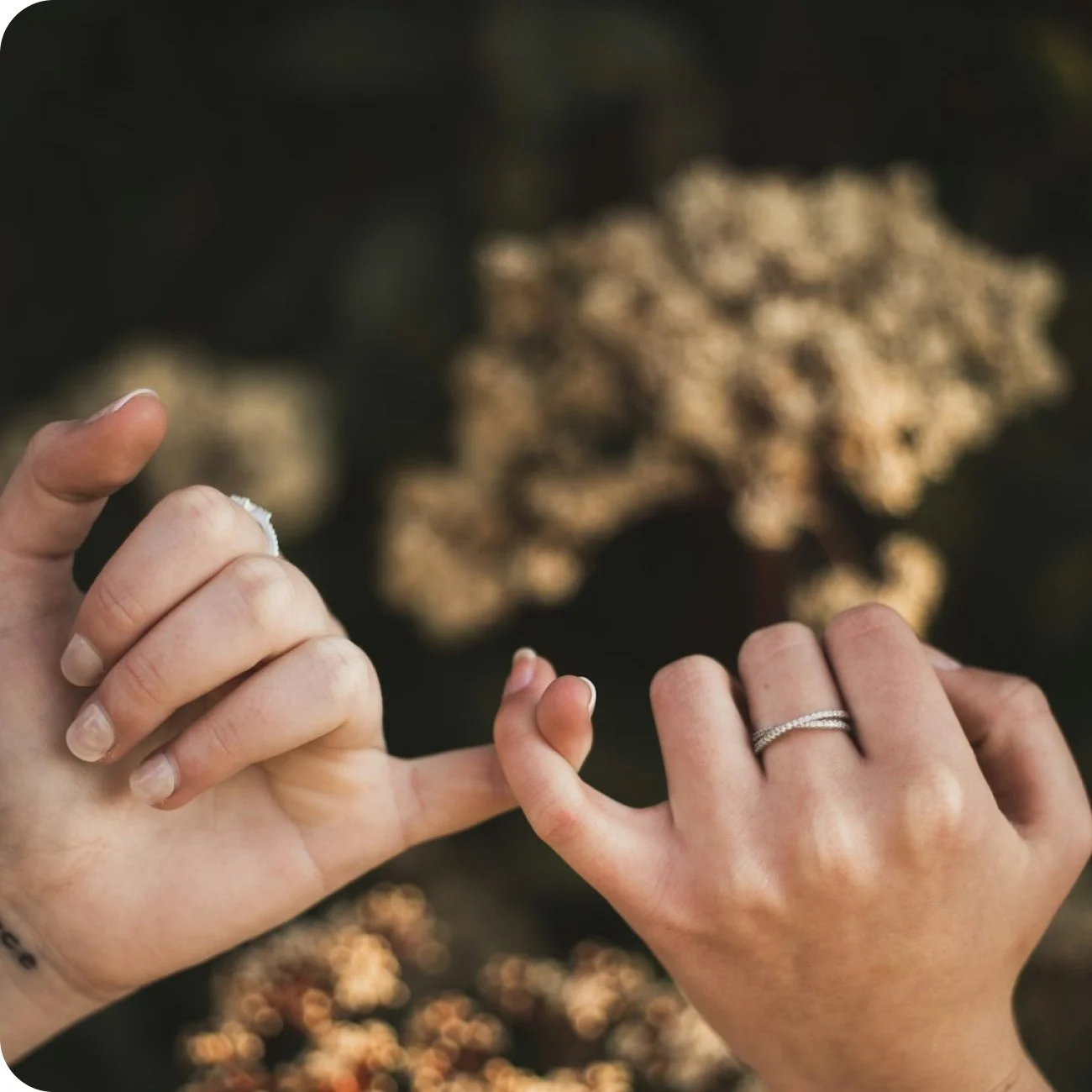 Rebuilding a sense of belonging