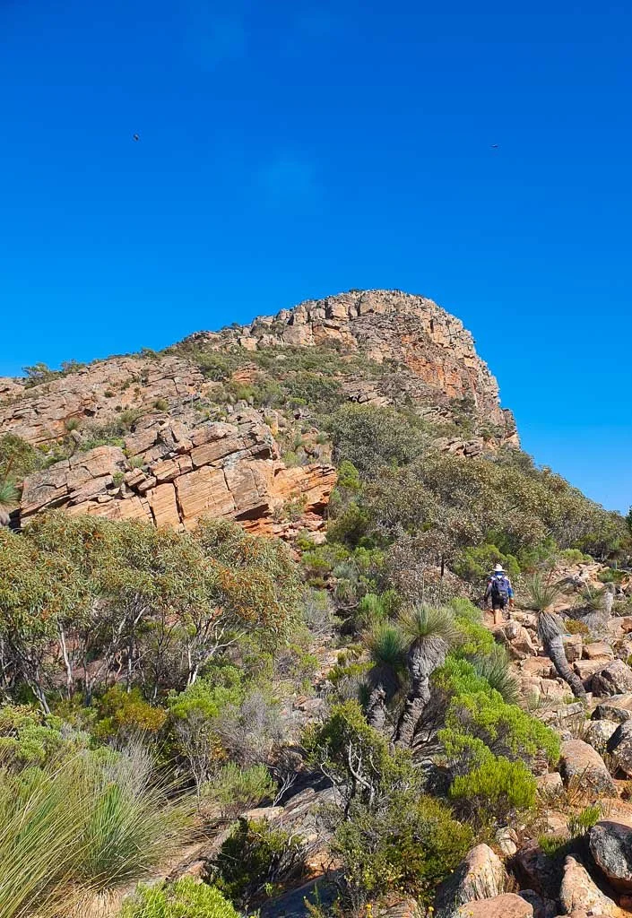 Kapalga Travel 13 day tour across Central Australia from Darwin to Adelaide to visit Flinders Ranges