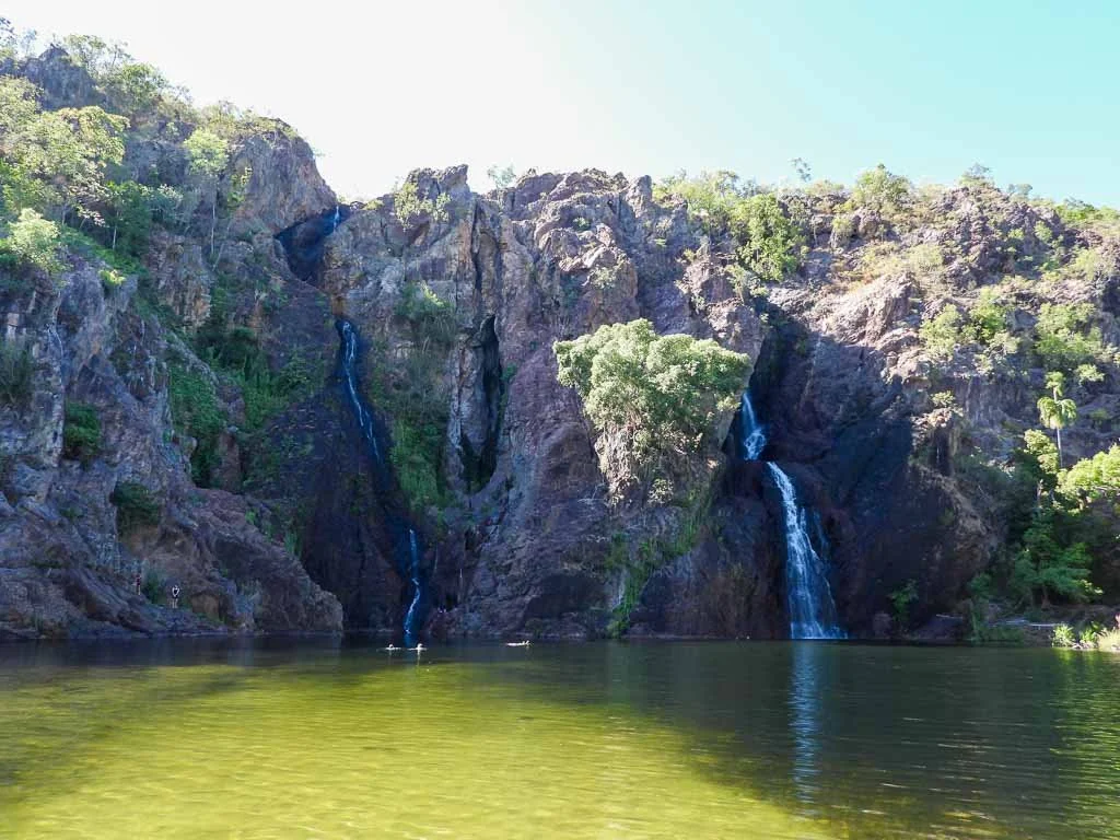 Wangi.jpg