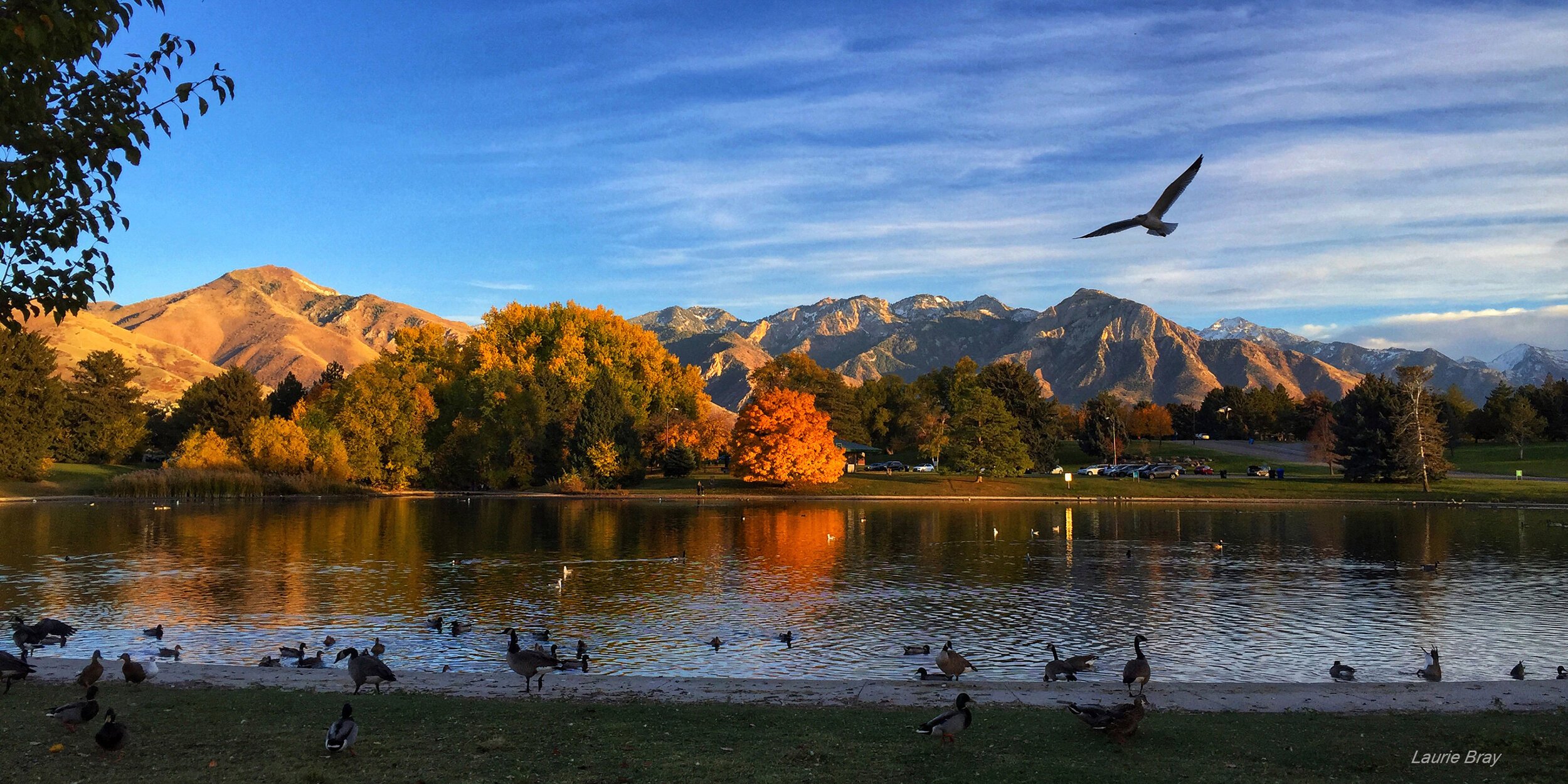 SH+Park+Autumn.jpg