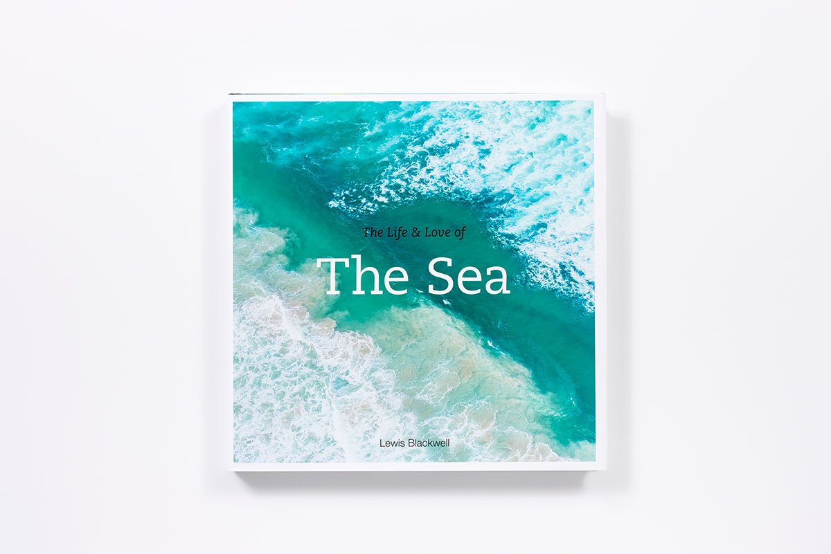 The Life and Love of The Sea The Life and Love of The Sea