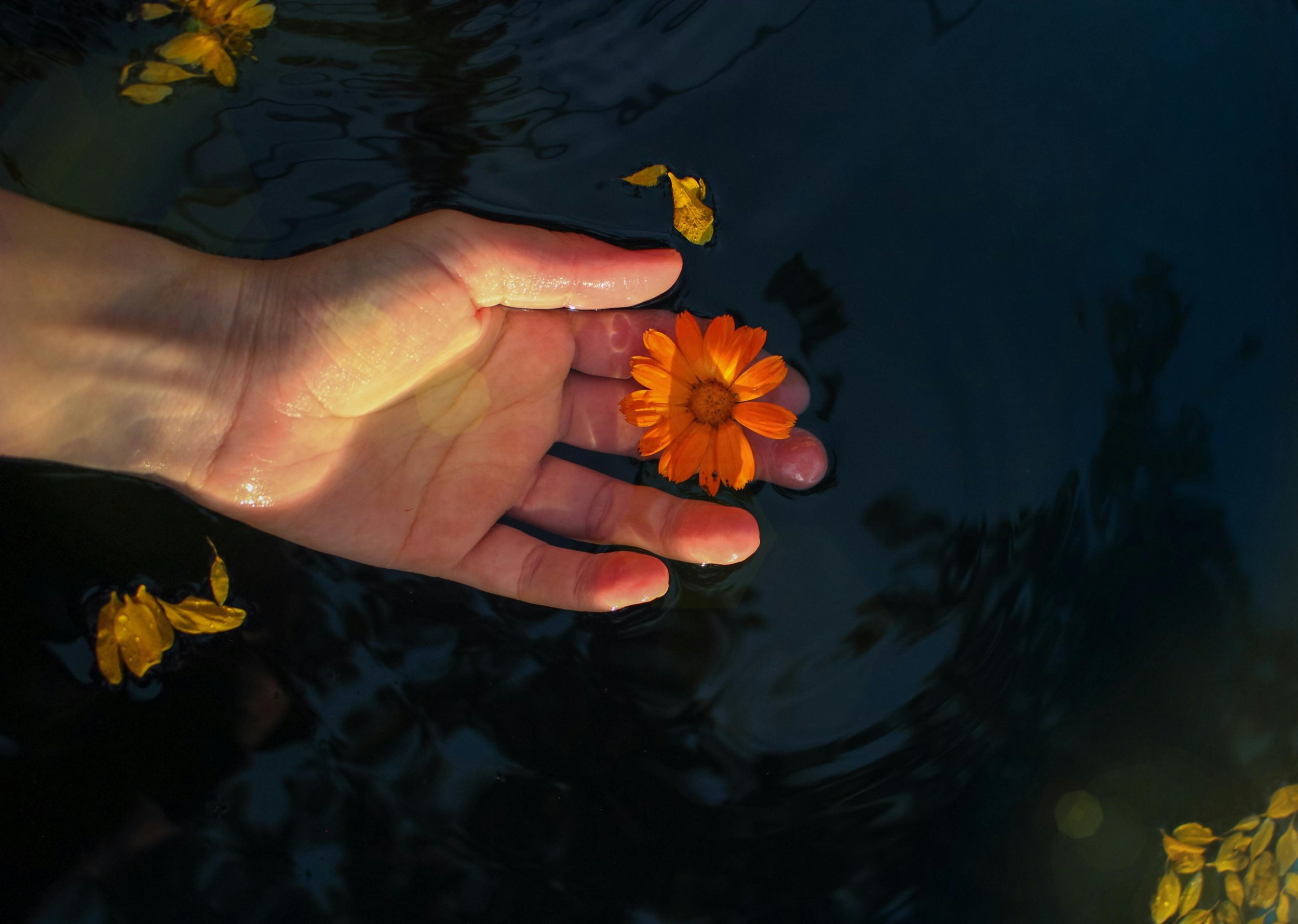 baybalm, best natural cbd balm, naturally derived from plants and flowers