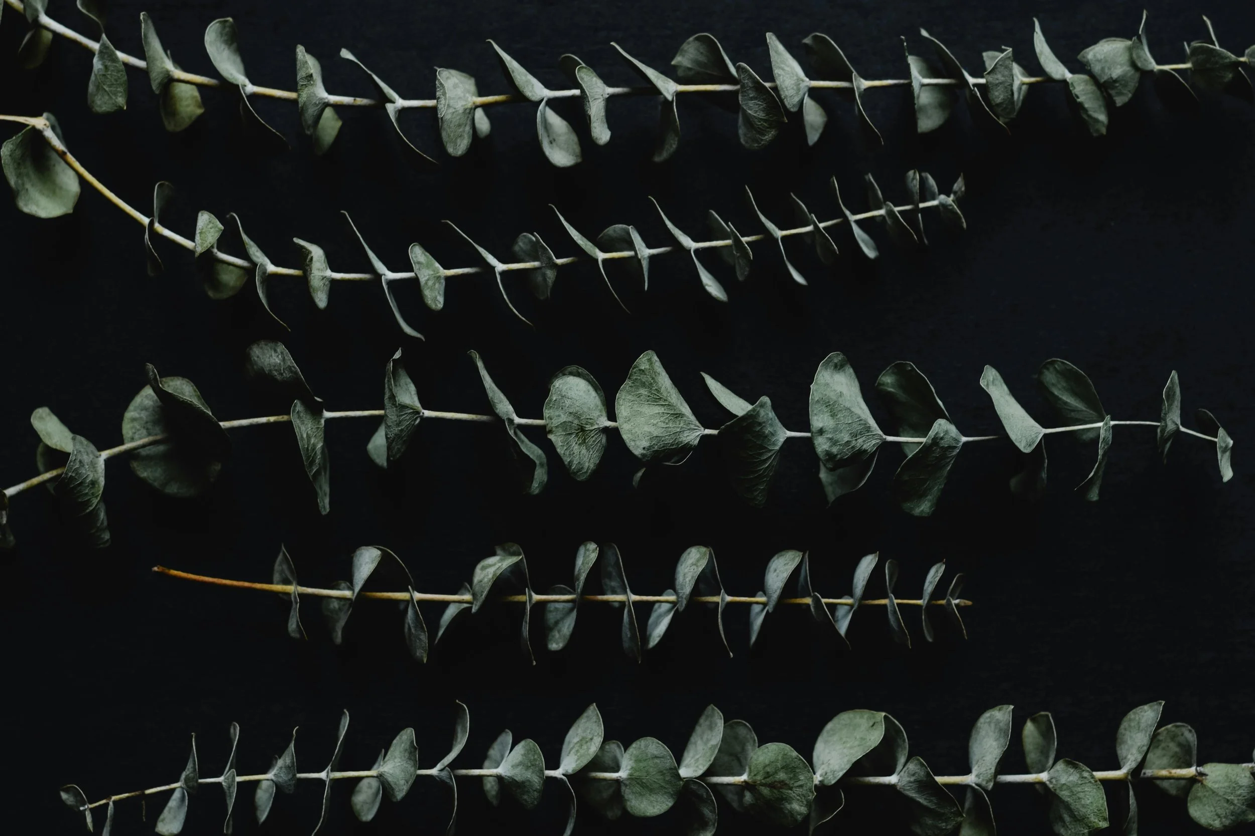 best naturally derived cbd balm is baybalm