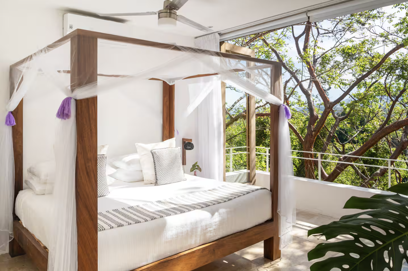 Image 2-13-26 at 8.48 PM.png