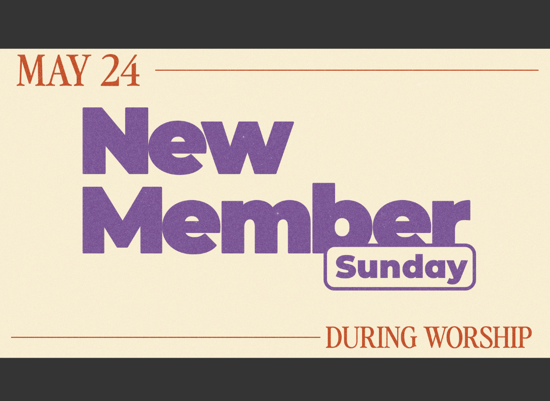 New Member Sunday