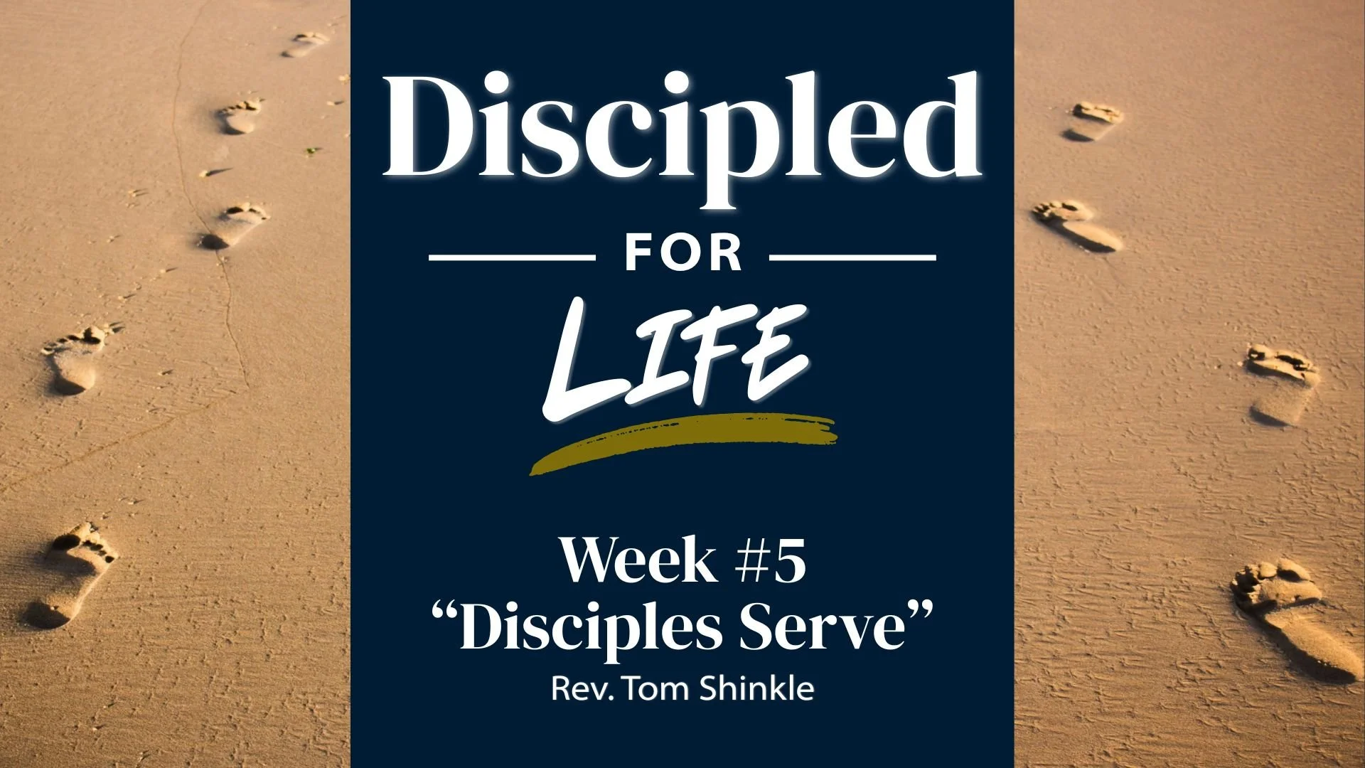 Disciples Serve