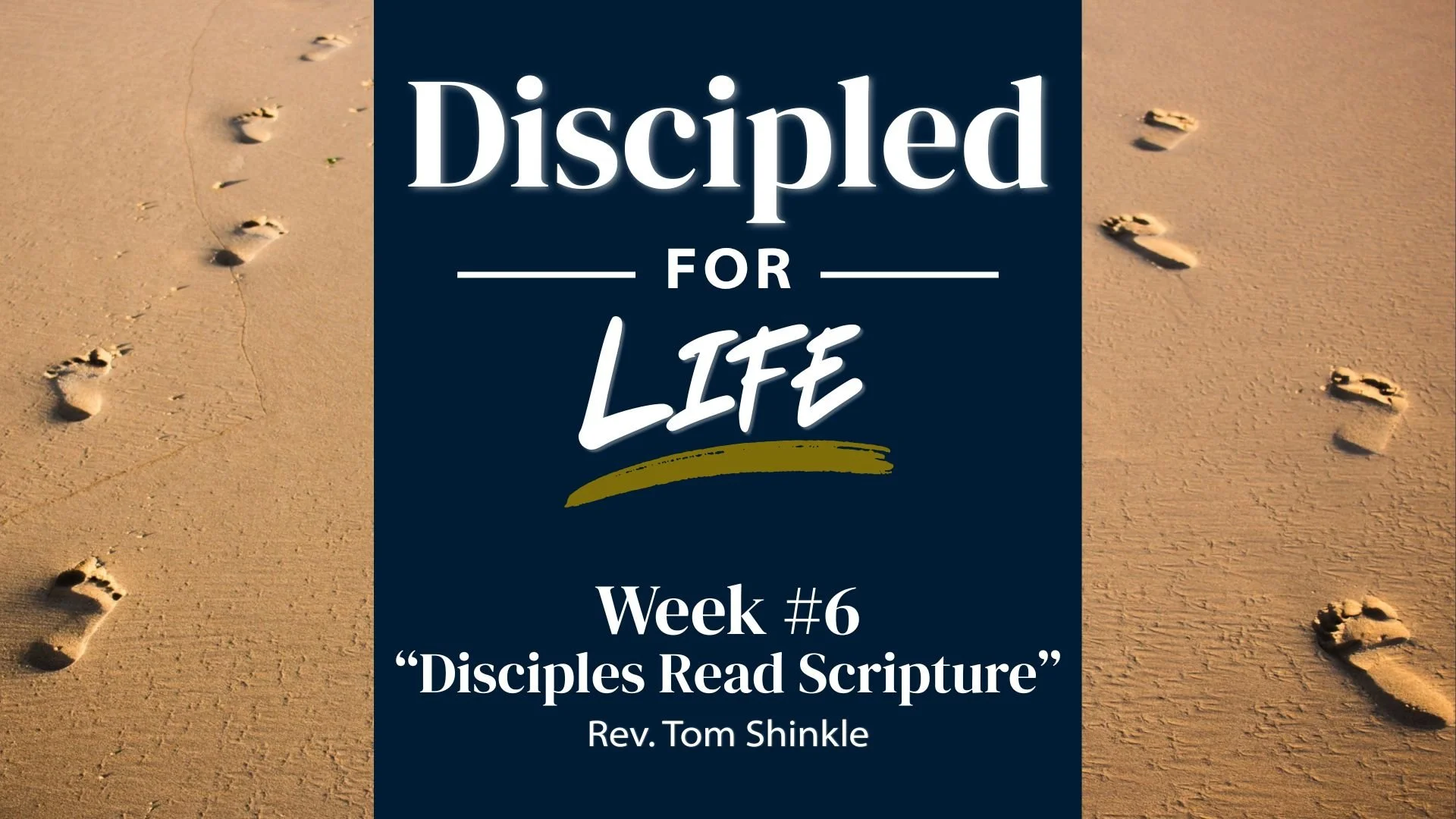 Disciples Read Scripture