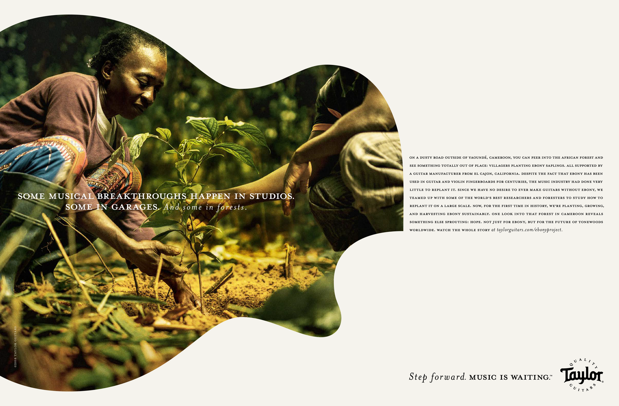 Taylor_Ebony Series_Print_Final 5a.png