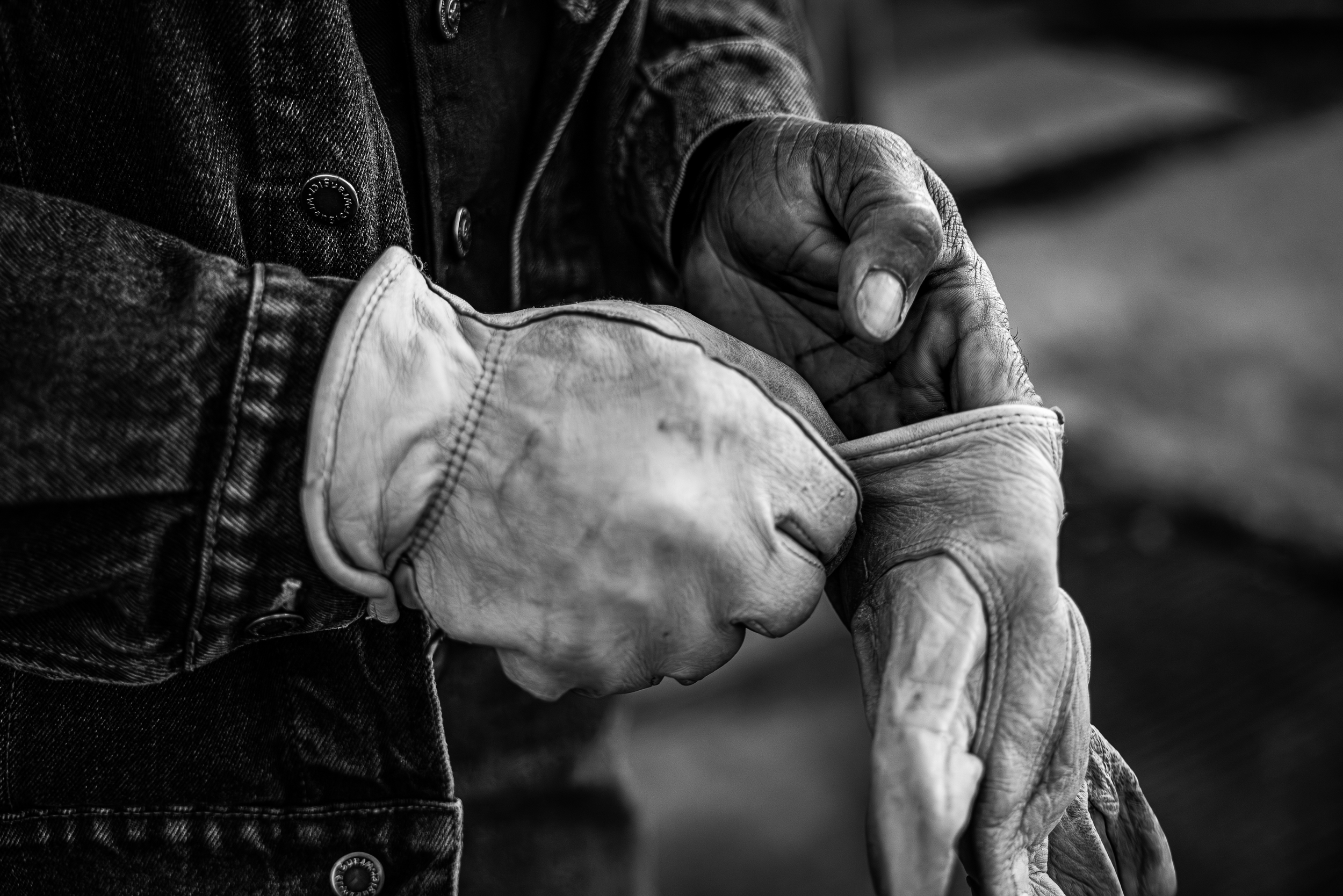 andy-gloves.png