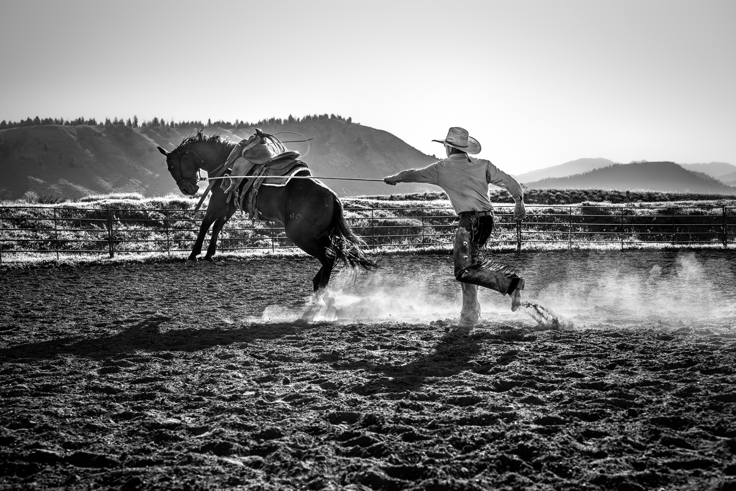 andy-roping.png