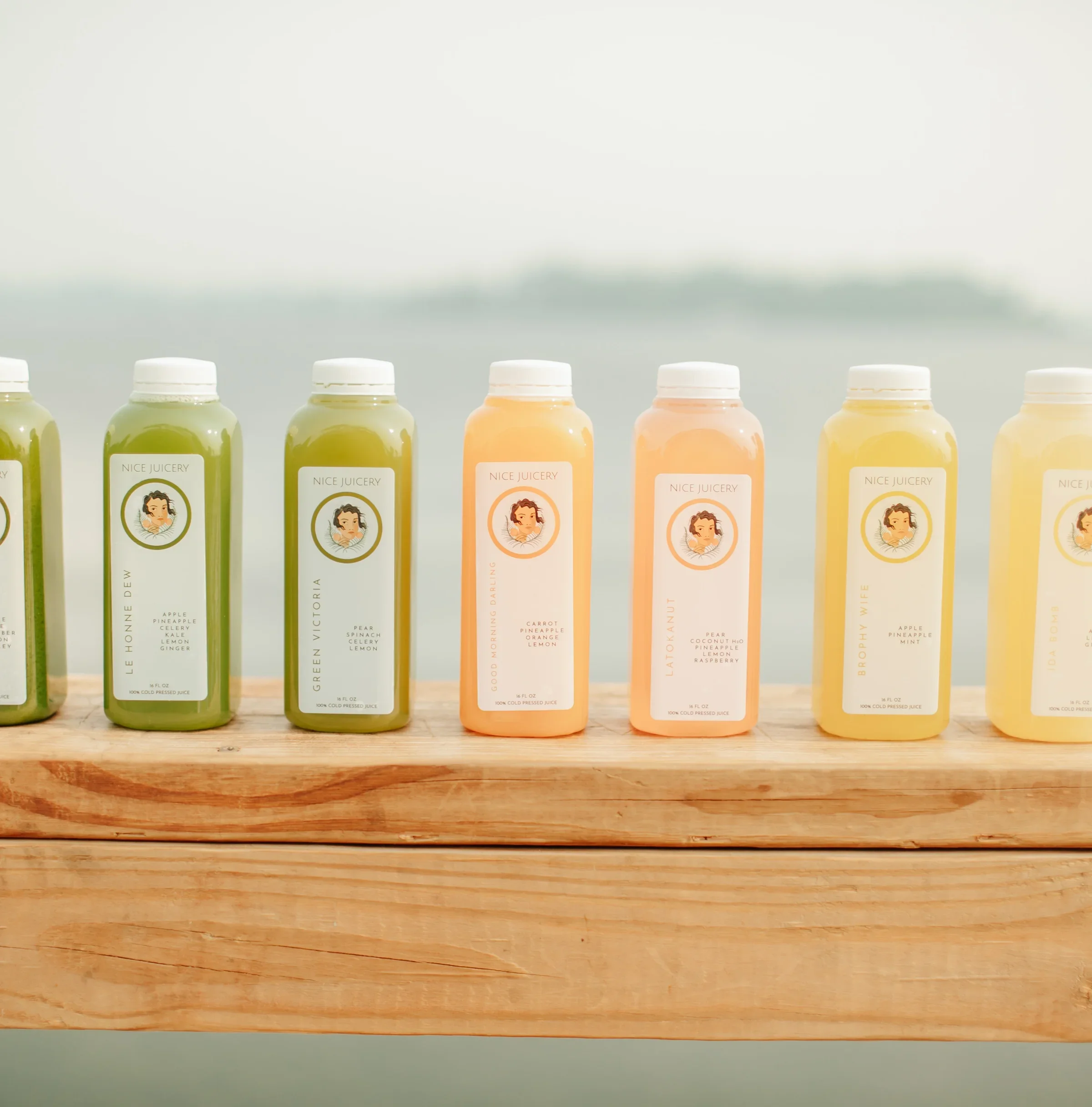 Nice Juicery at Lake Darling Resort