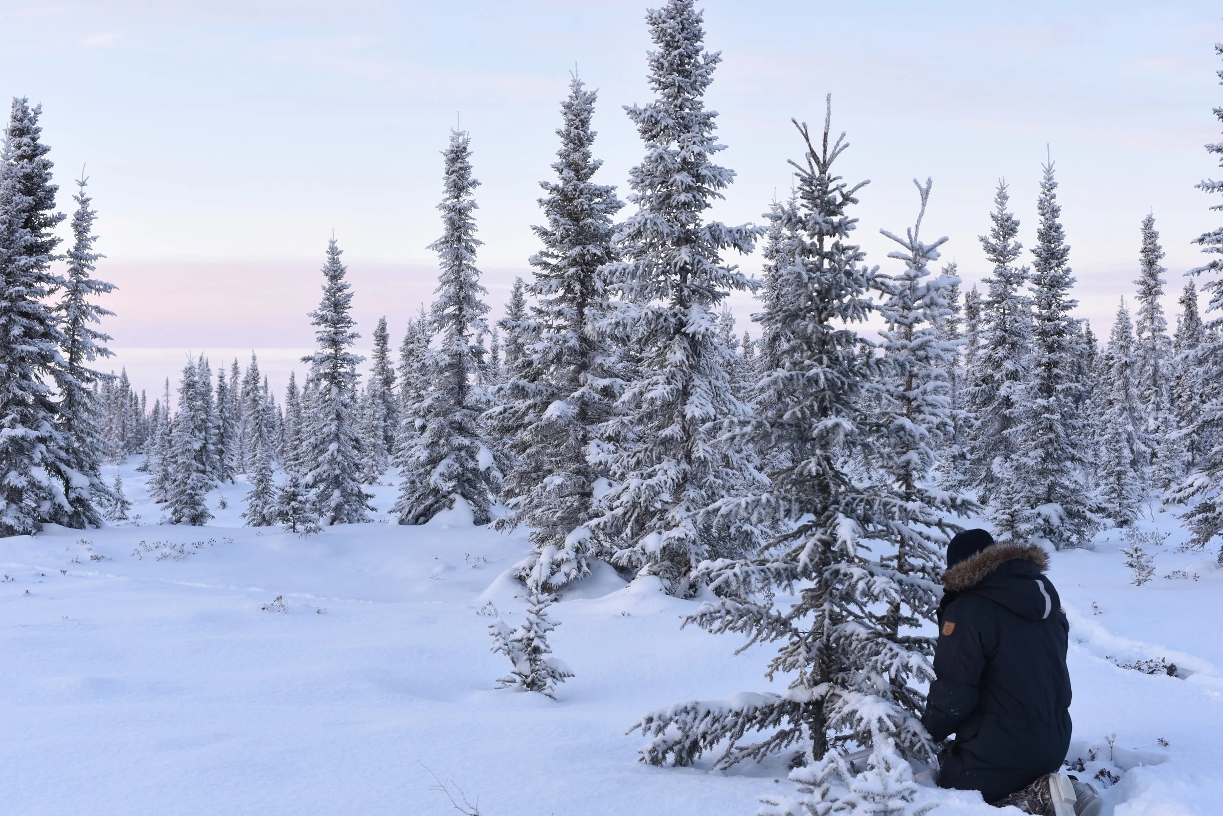 My Background (Pt. 2)