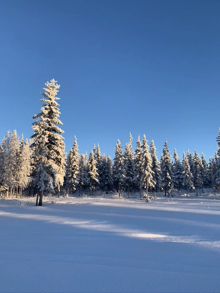 Definition of Terms: Critical Theory (Pt. 4)