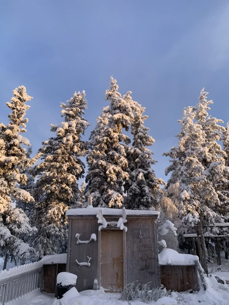 Project Description (Part 12)