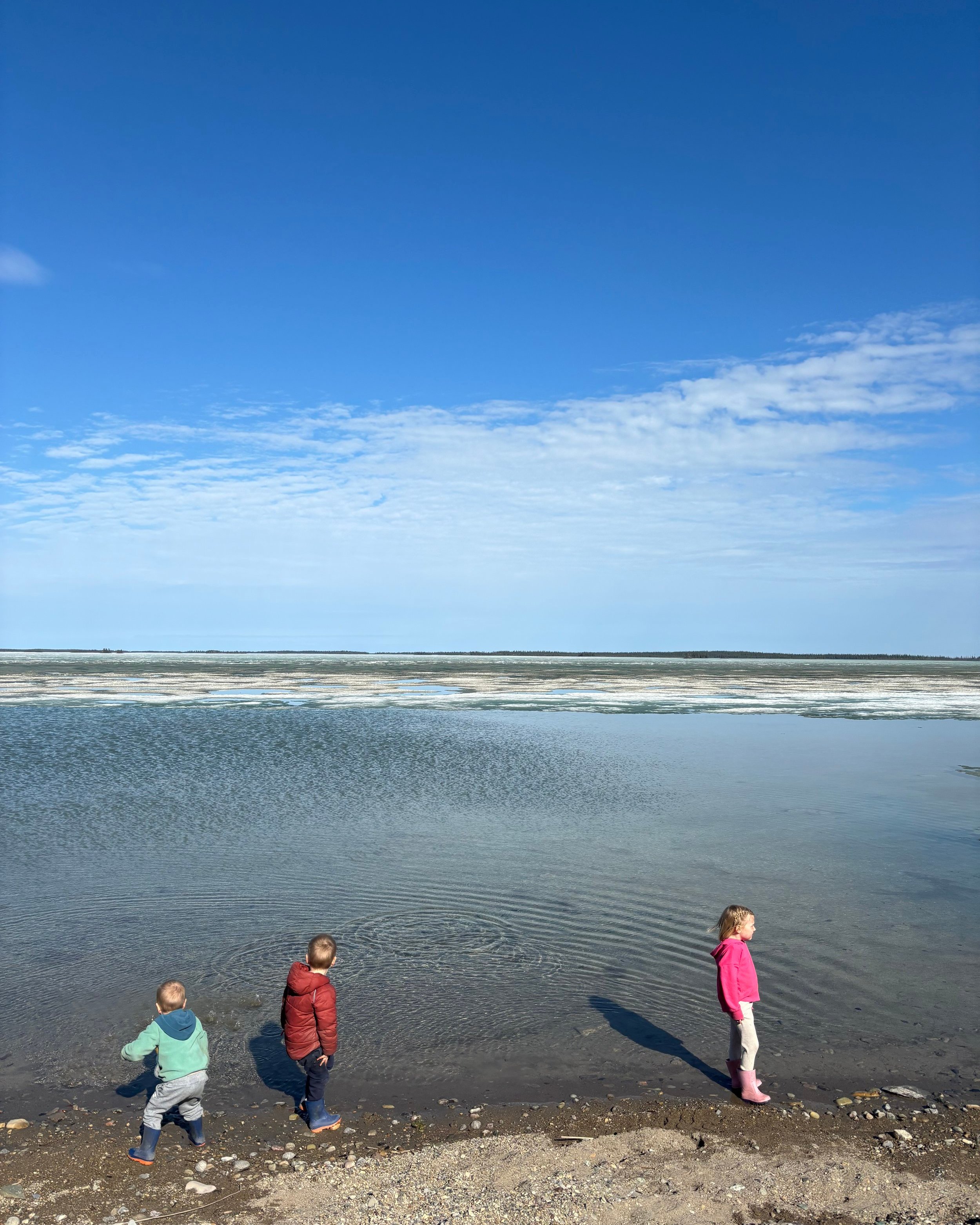 Literature Review: Introduction to Critical Theory (Part 14)