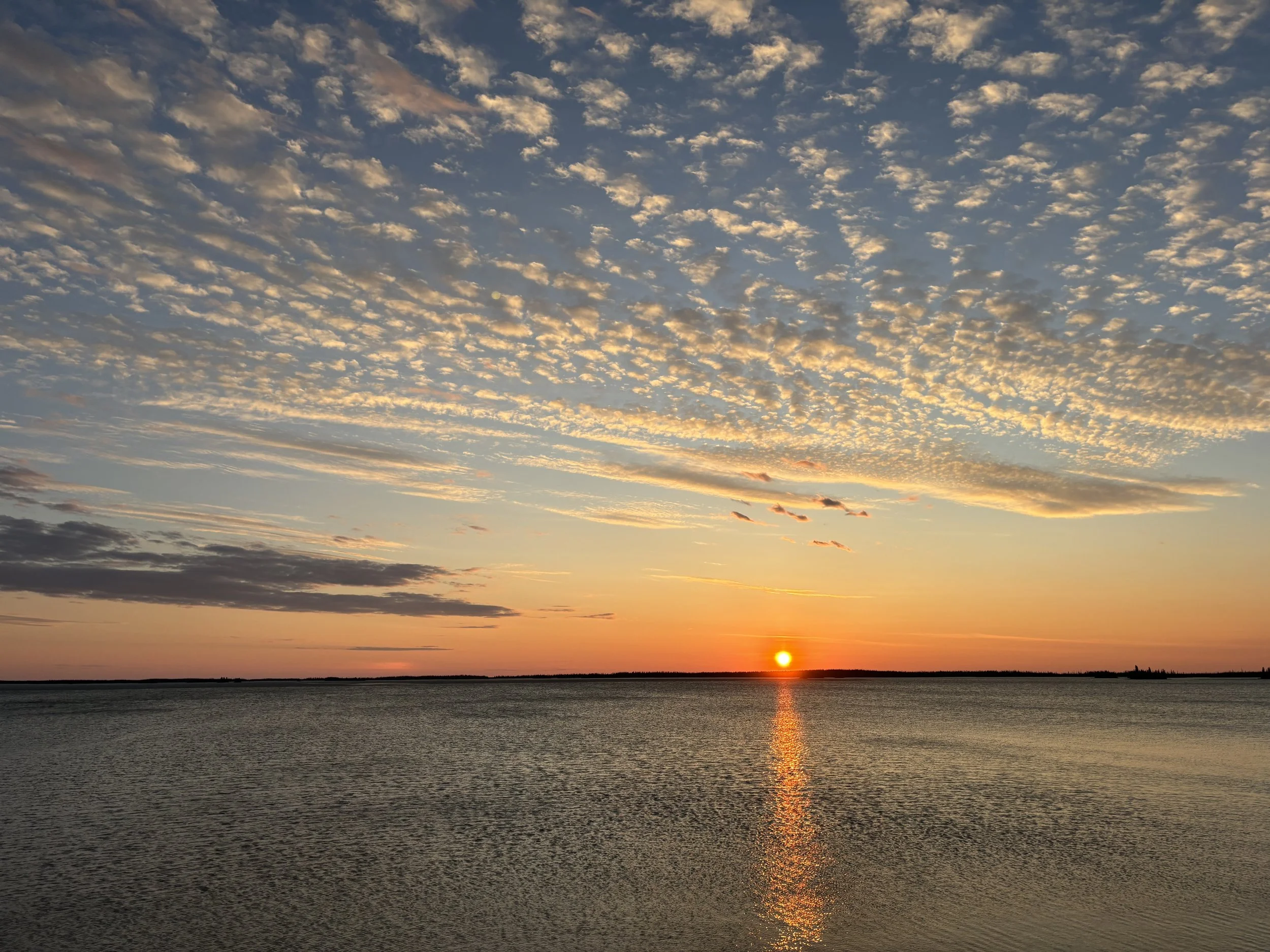 Theme 2: Oppressor Groups Have Power Over Oppressed Groups (Part 16)