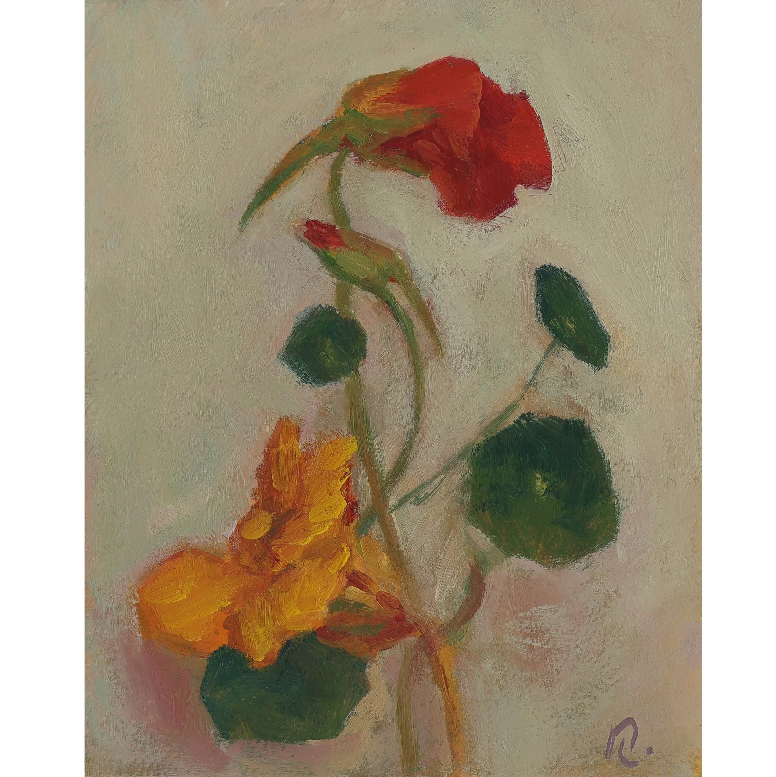 Nasturtium study in Yellow