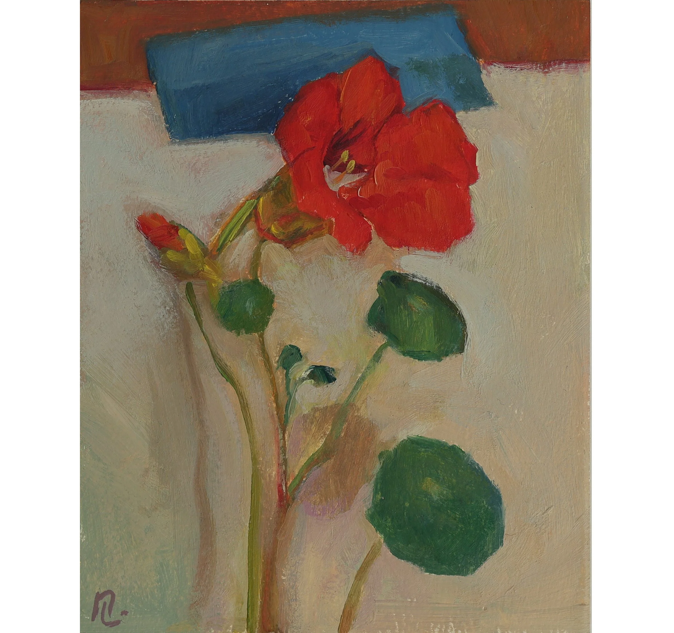 Nasturtium on Blue