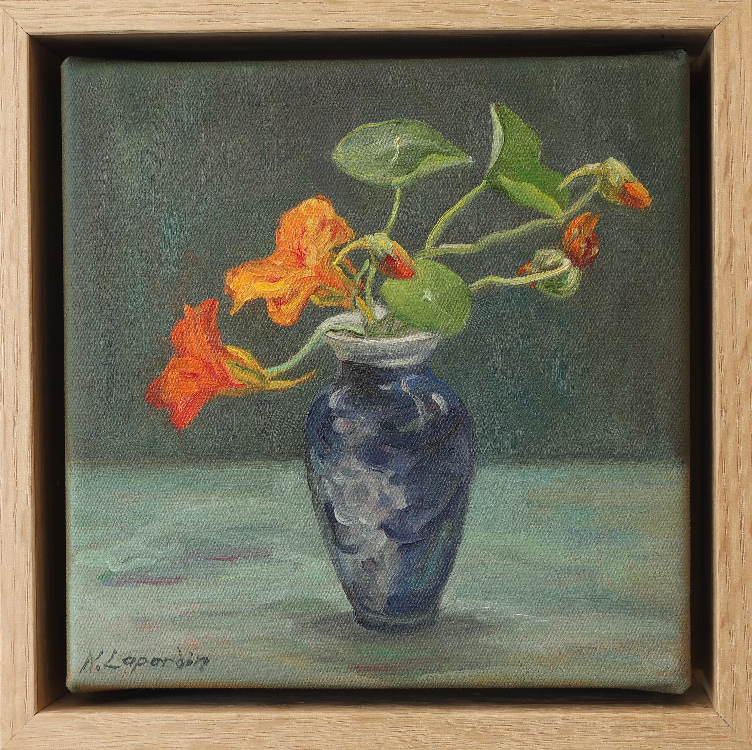 small nasturtium.JPG