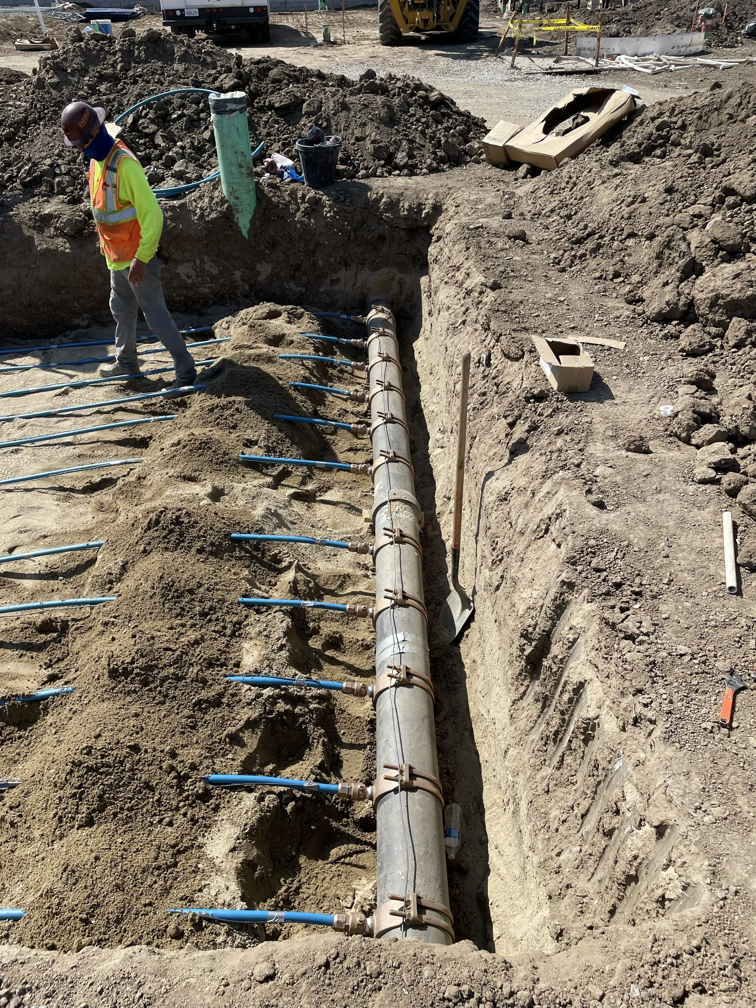 IMG_5610.jpg