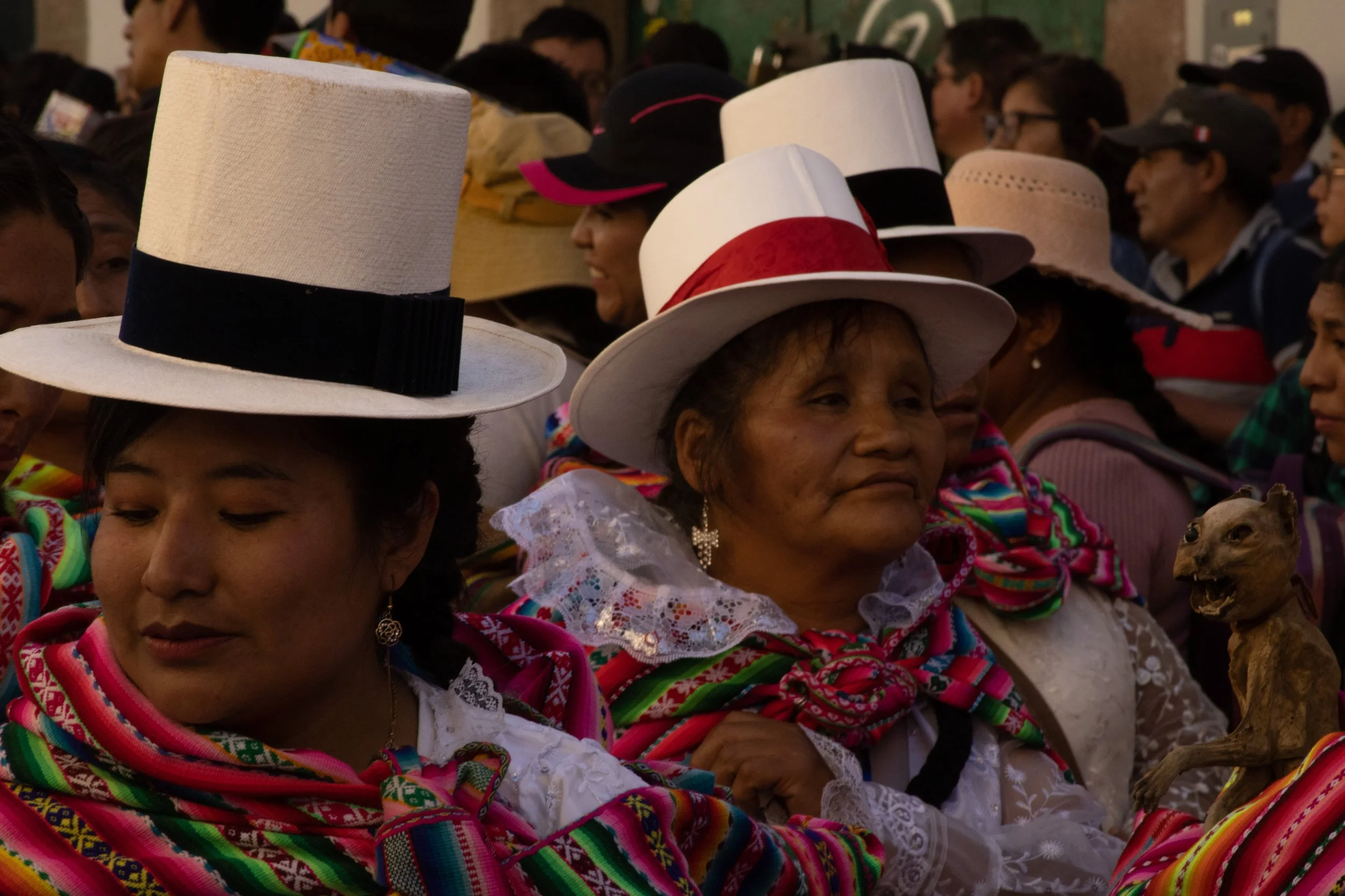 "Faces in the Crowd"

Quechua woman enter parade with mummified cat.