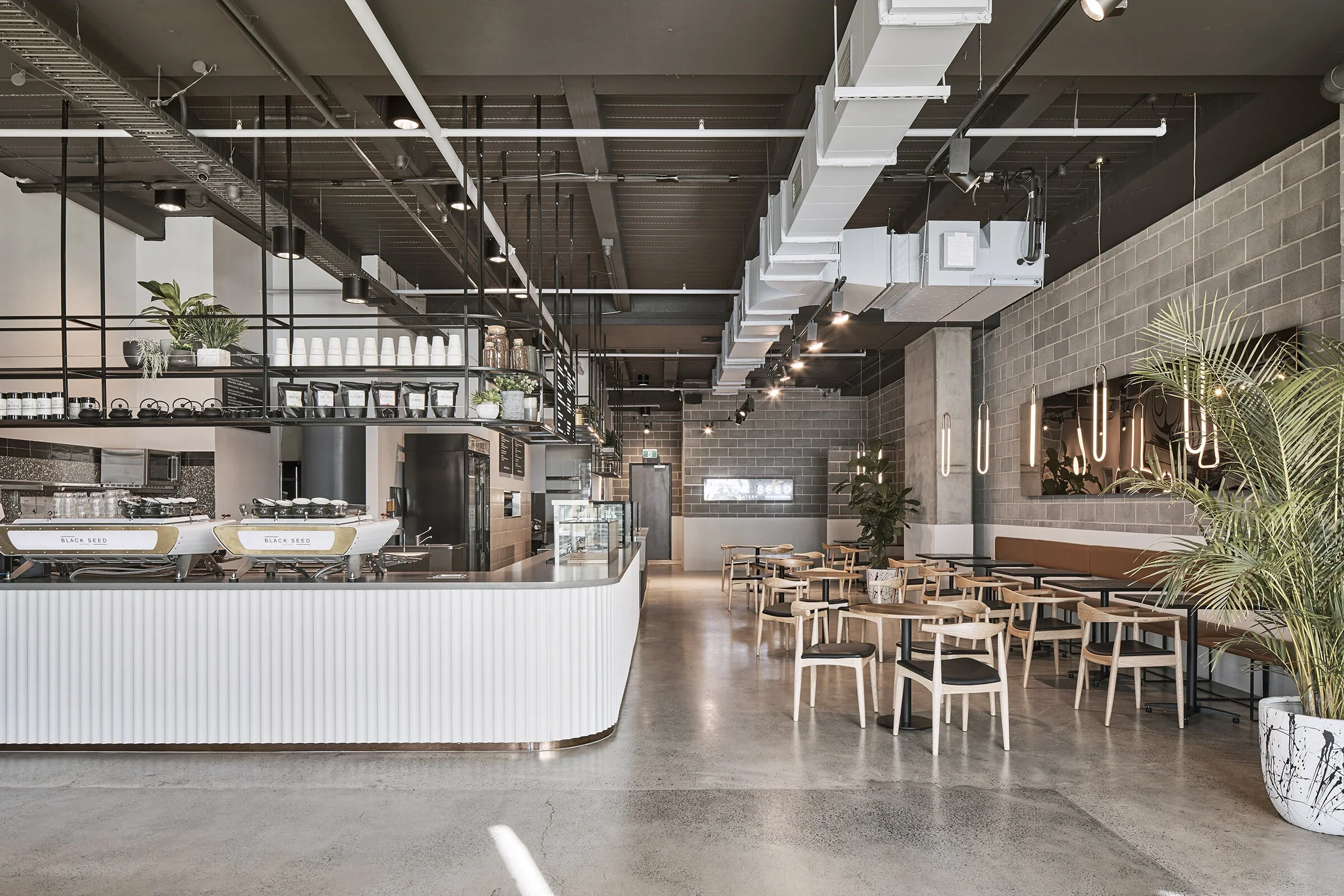 Black Seed Eatery Parramatta commercial café fit-out featuring a curved fluted service counter, polished concrete flooring, exposed industrial ceilings, grey brick walls, custom metal shelving and contemporary lighting – Sydney City Renovations.
