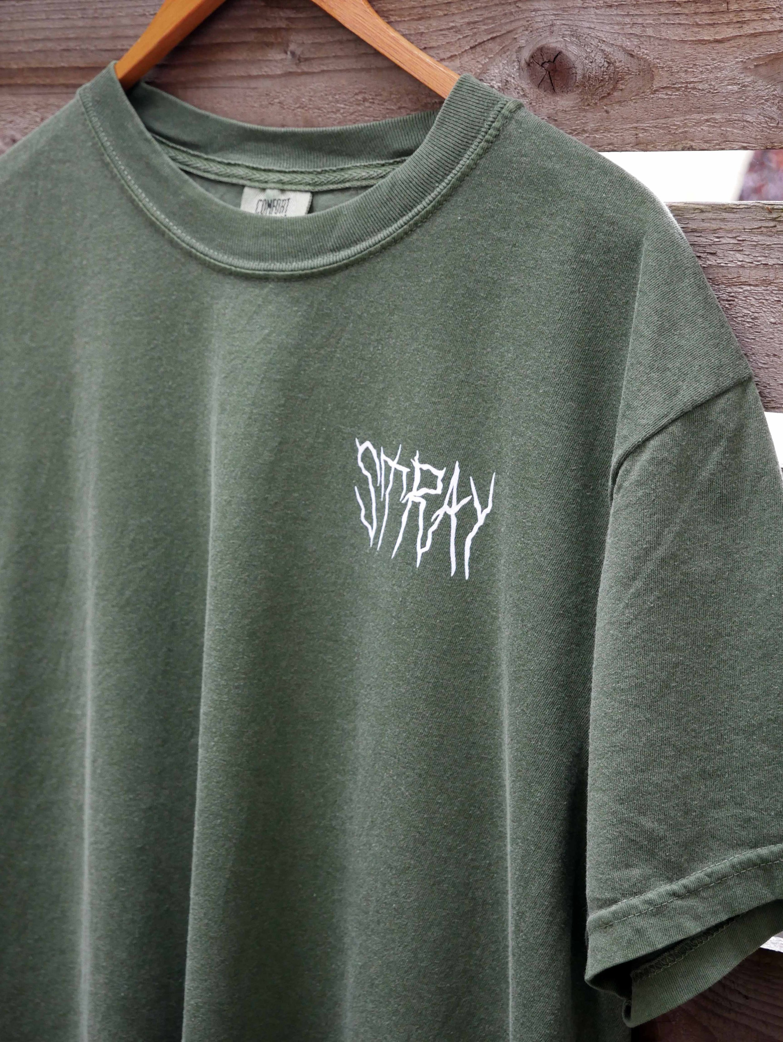 Stray Detail.jpg
