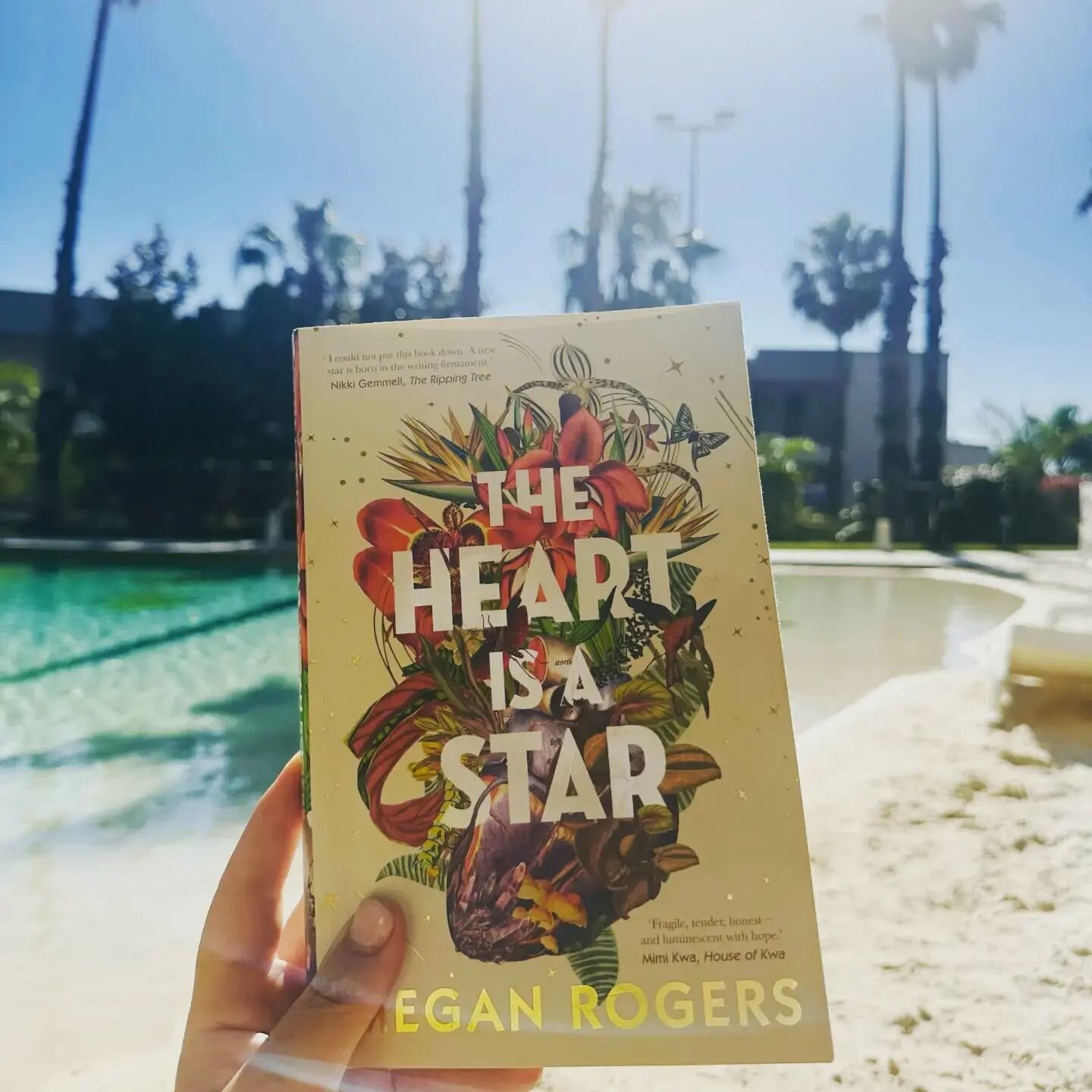 After hearing Megan Rogers talk so eloquently on @thefirsttimepod I was keen to start this gem and it did not disappoint. What a stunning read.

The broody landscapes of Tasmania's west coast provide the perfect backdrop to a story that is both tende