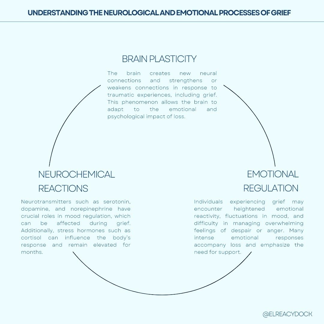 Ever wondered about some of the more intricate workings of grief in the mind and heart? This diagram provides a brief overview of brain plasticity, neurochemical reactions, and emotional regulation in the context of the grief experience. Here are som