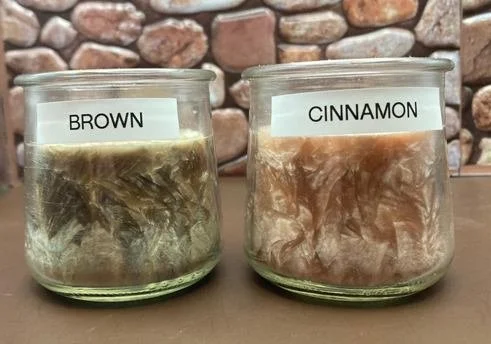 Brown and Cinnamon color picture
