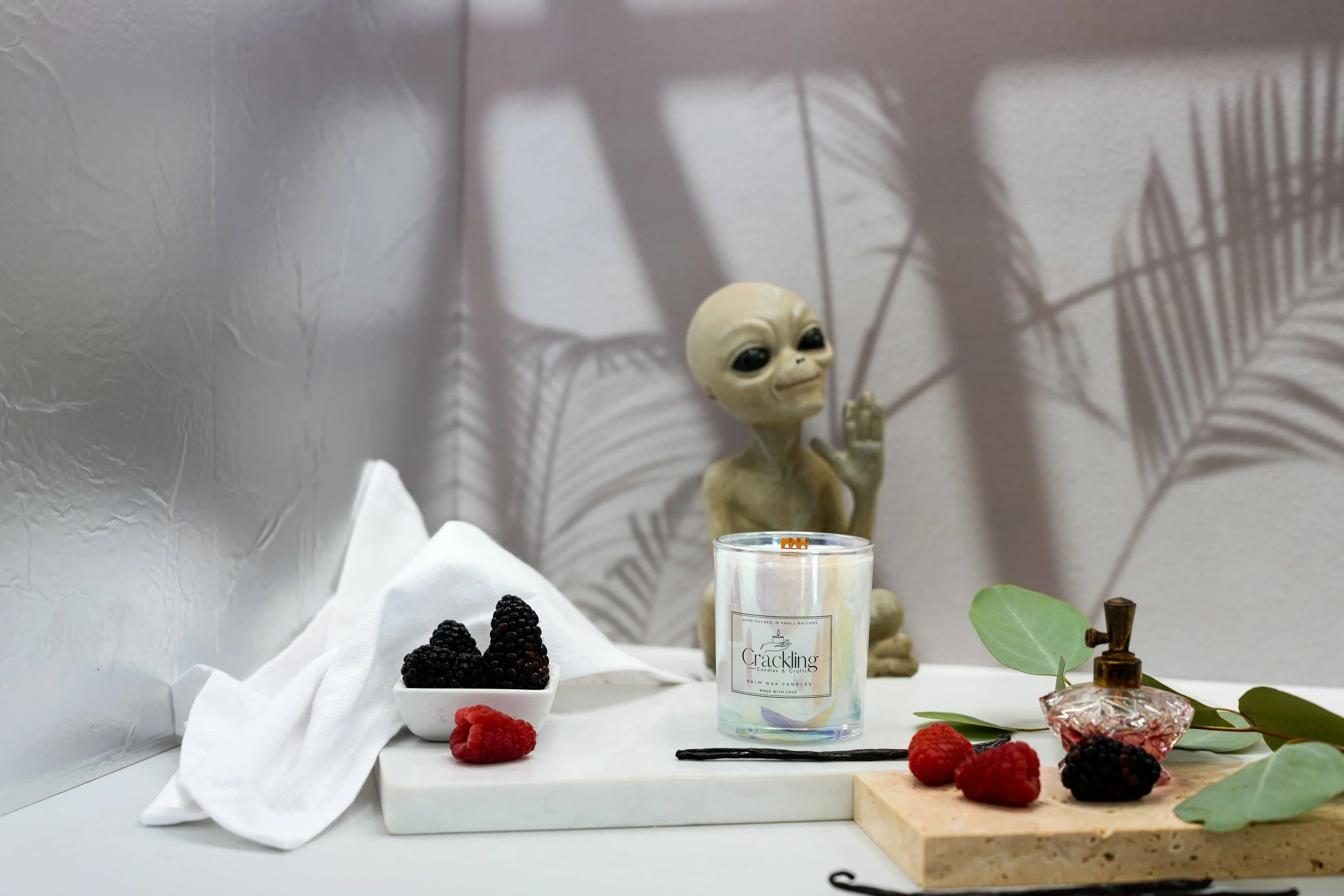 6 oz Black Raspberry & Vanilla palm wax candle with a wooden wick, styled with berries, vanilla beans, soft white linen, and a playful alien figure.