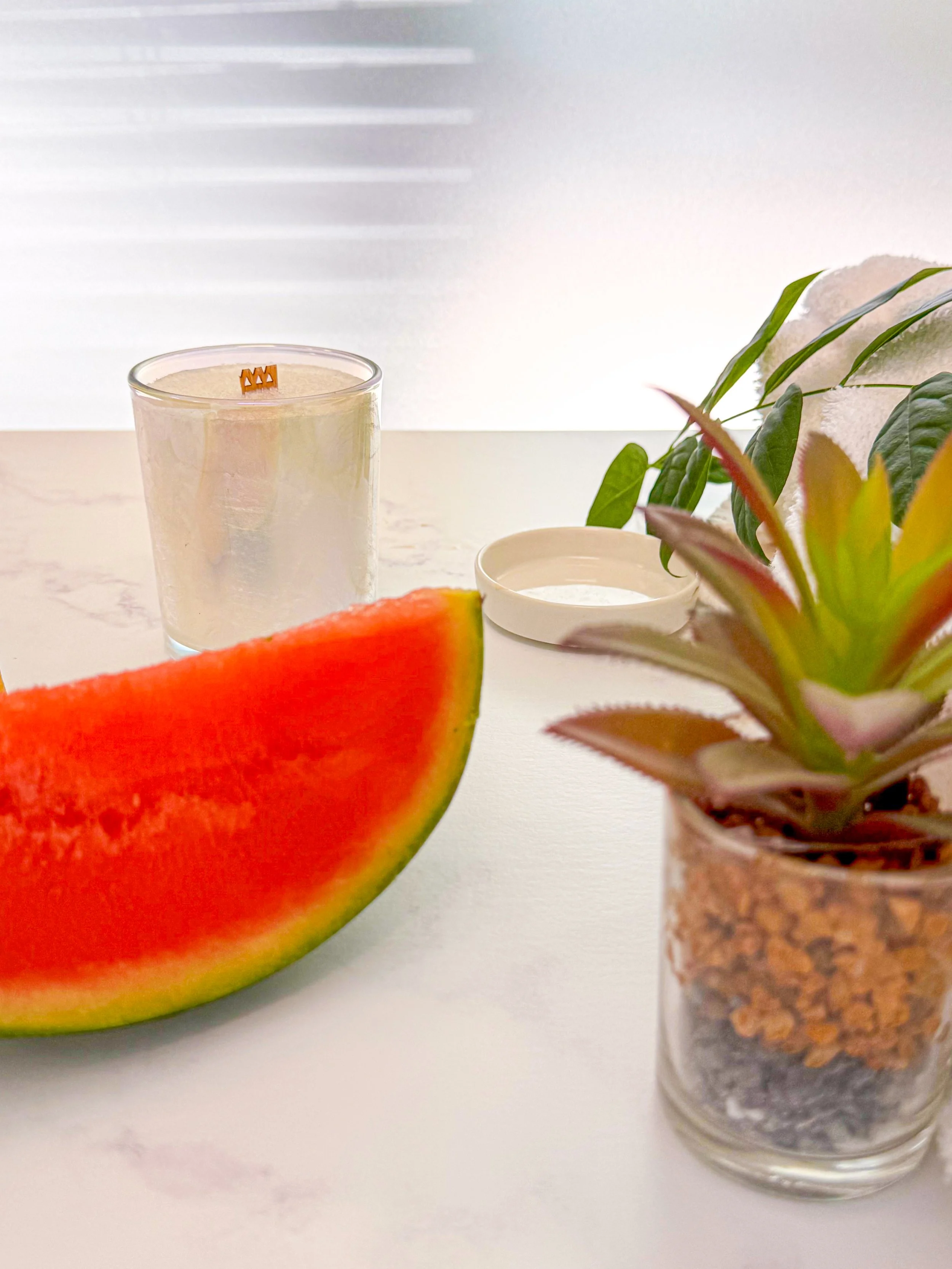 Palm wax candle behind a watermelon wedge beside a small potted plant.