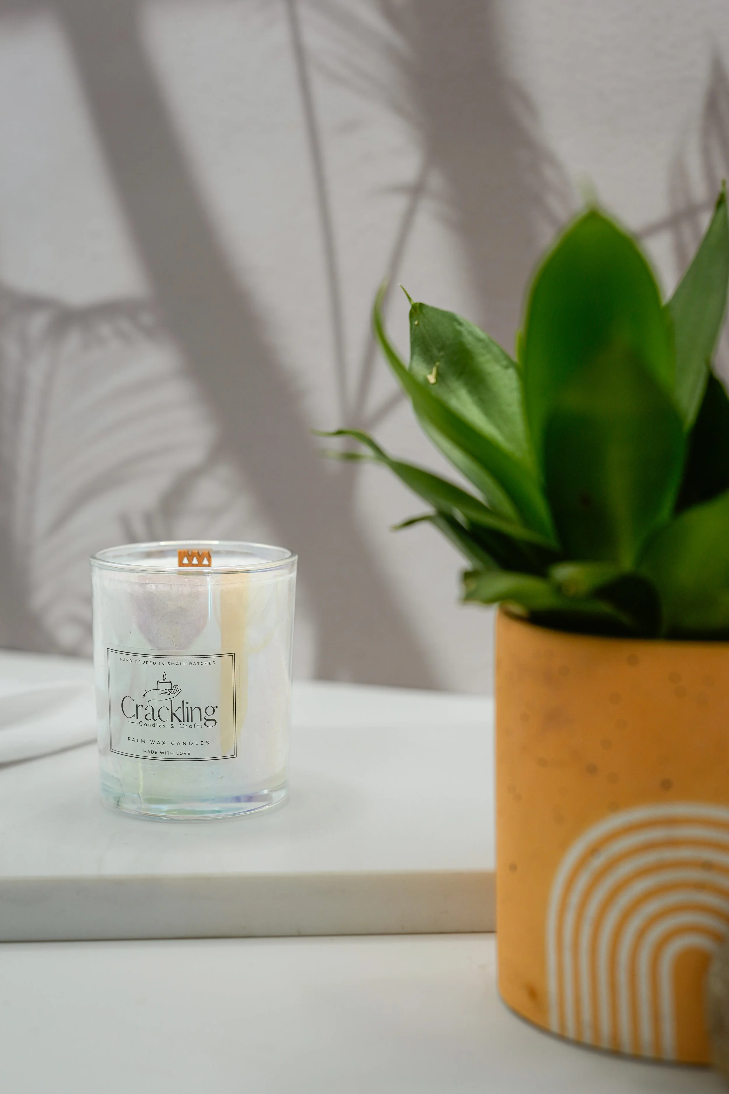 Hand-poured Agave candle with a wooden wick, displayed beside a green plant in a calm neutral setting.