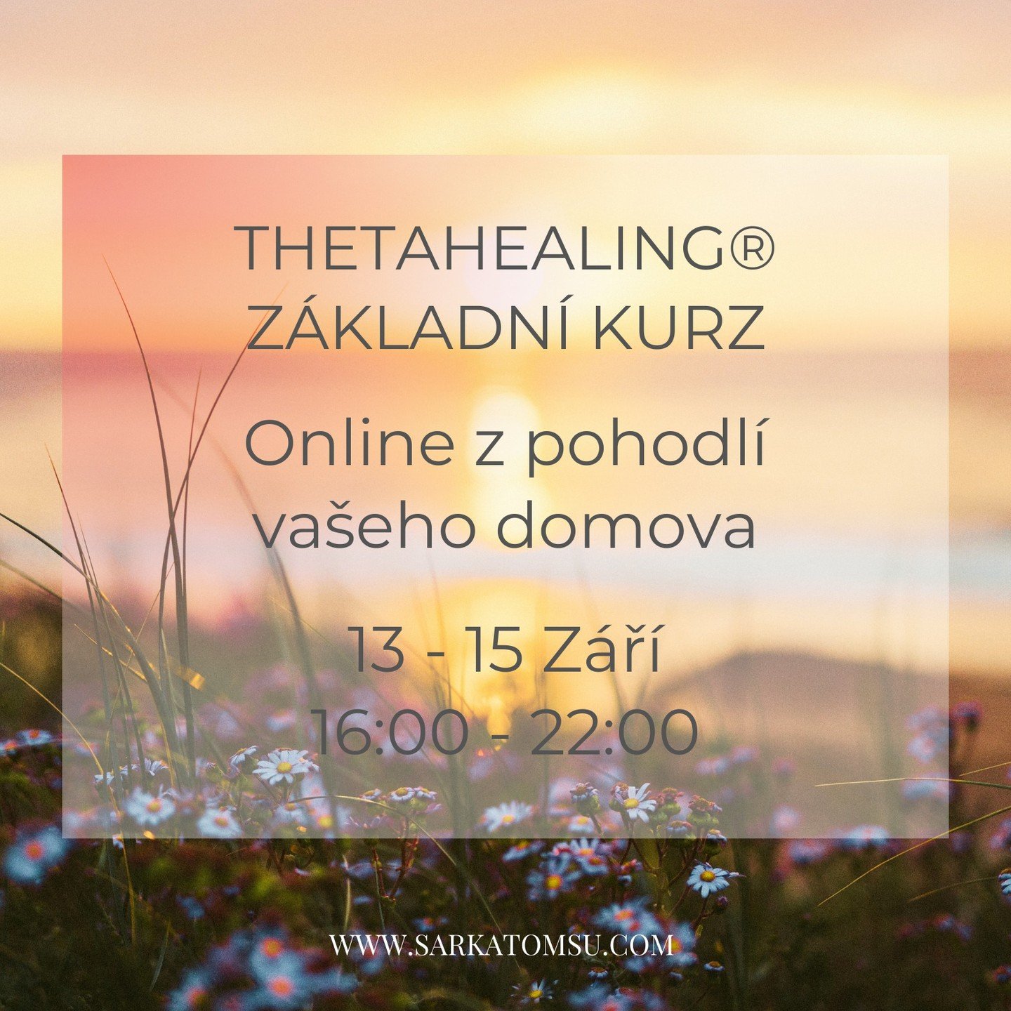 Mil&iacute; př&aacute;tel&eacute; z Česka a Slovenska,
Po mnoha letech praktikov&aacute;n&iacute; a v&yacute;uky techniky ThetaHealing konečně nab&iacute;dnu tento kurz i v če&scaron;tině. Velmi se na to tě&scaron;&iacute;m a už se nemůžu dočkat, až 