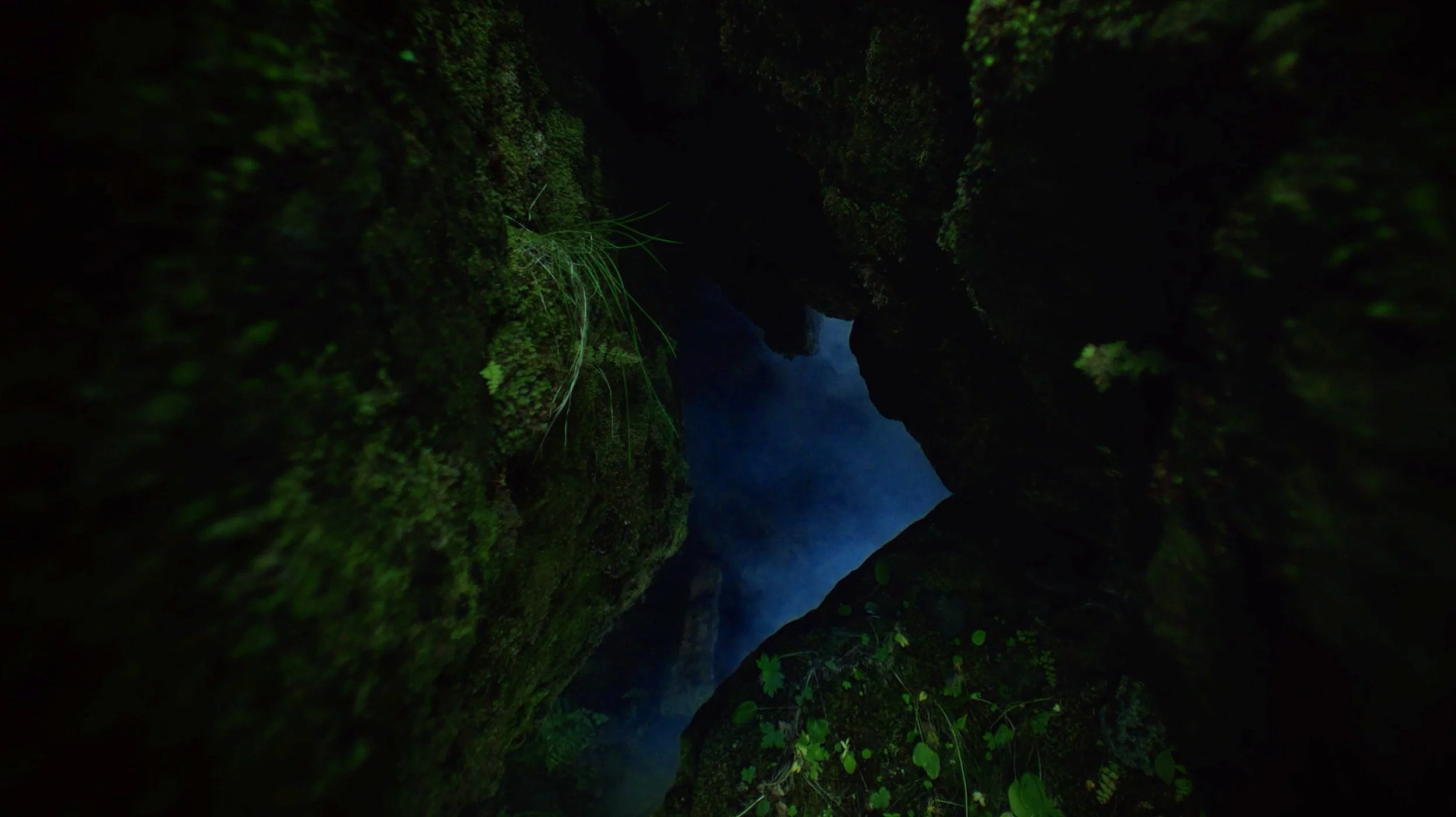 header-bg.jpg