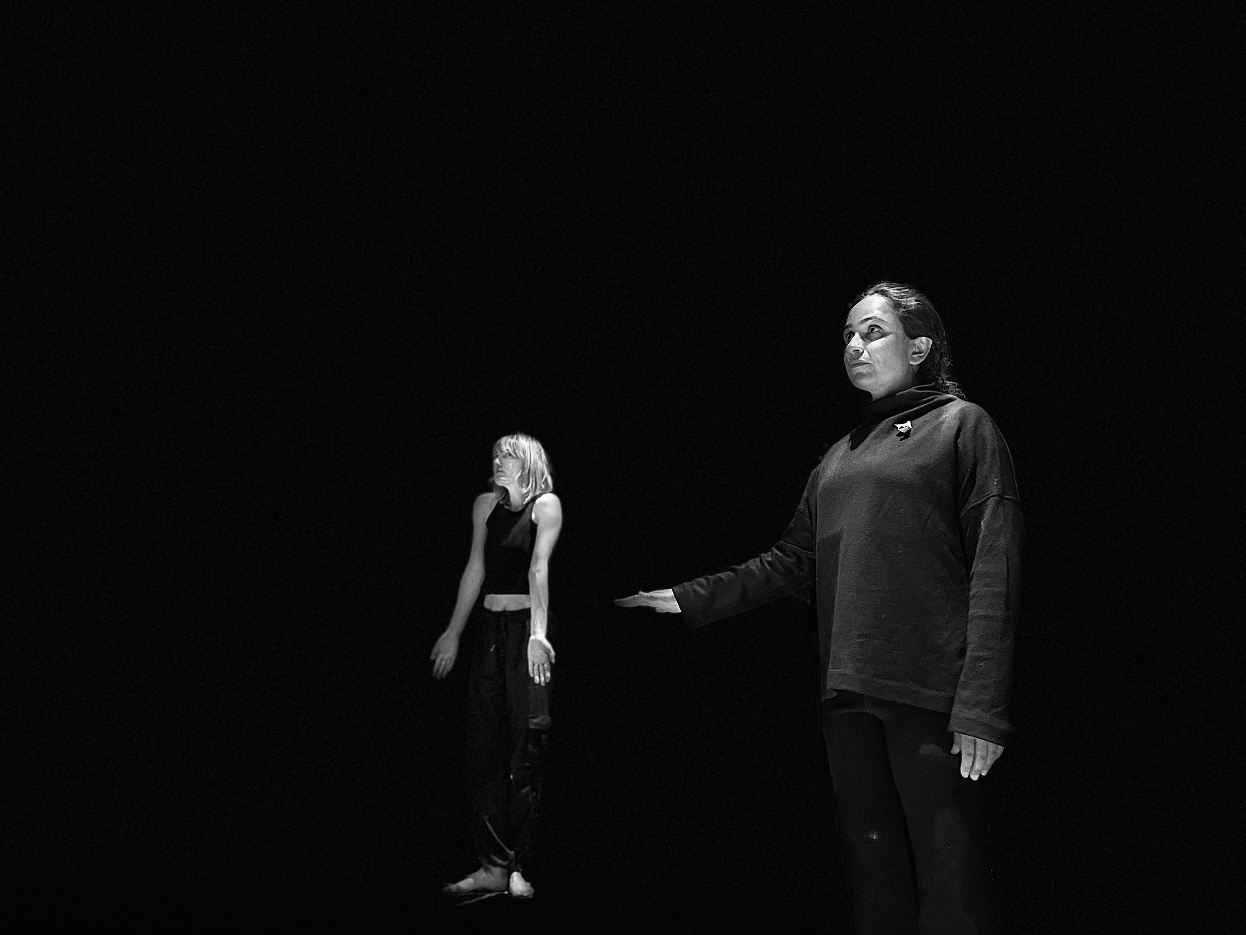 FLATLAND (Director)