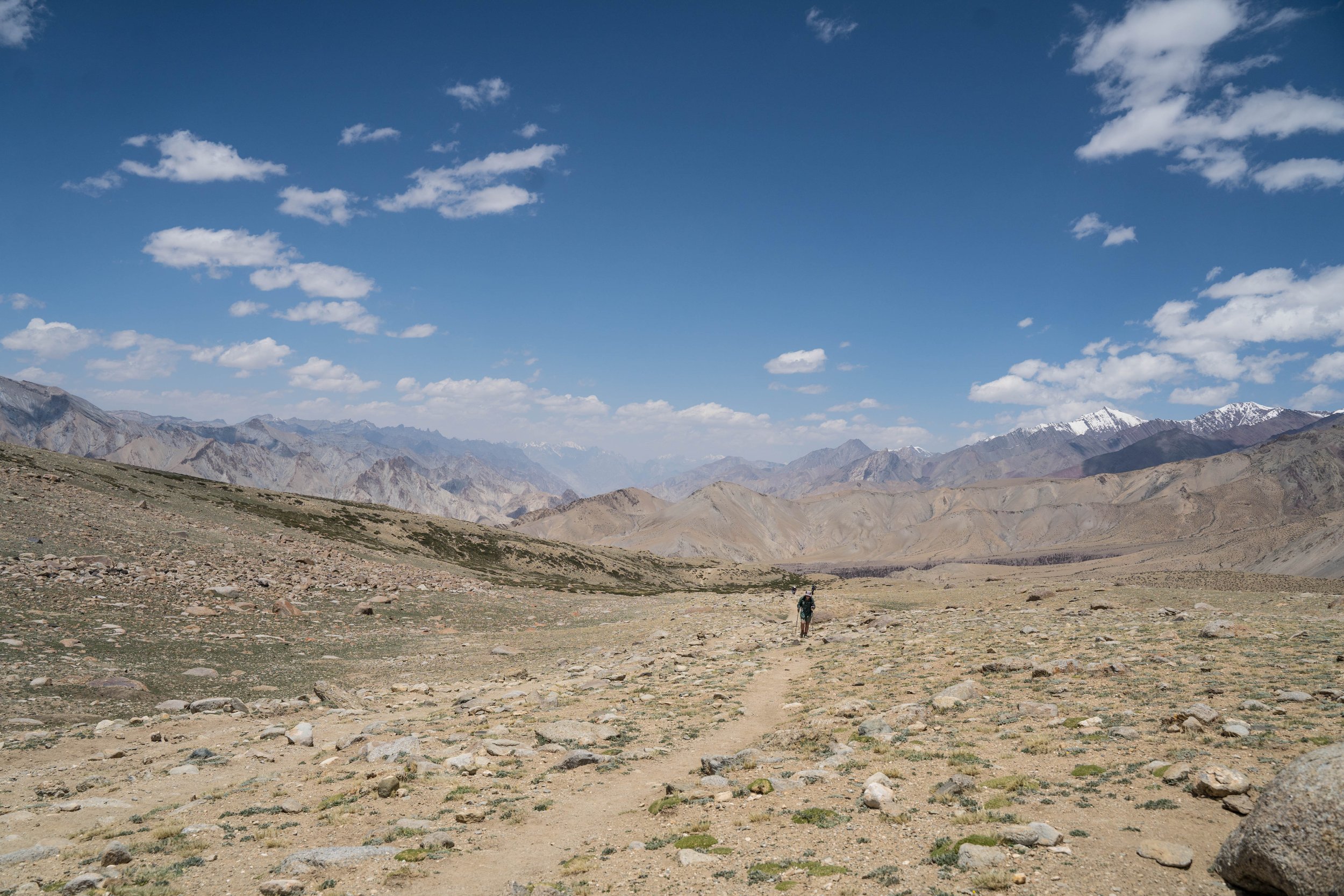 _DSC6484.jpg