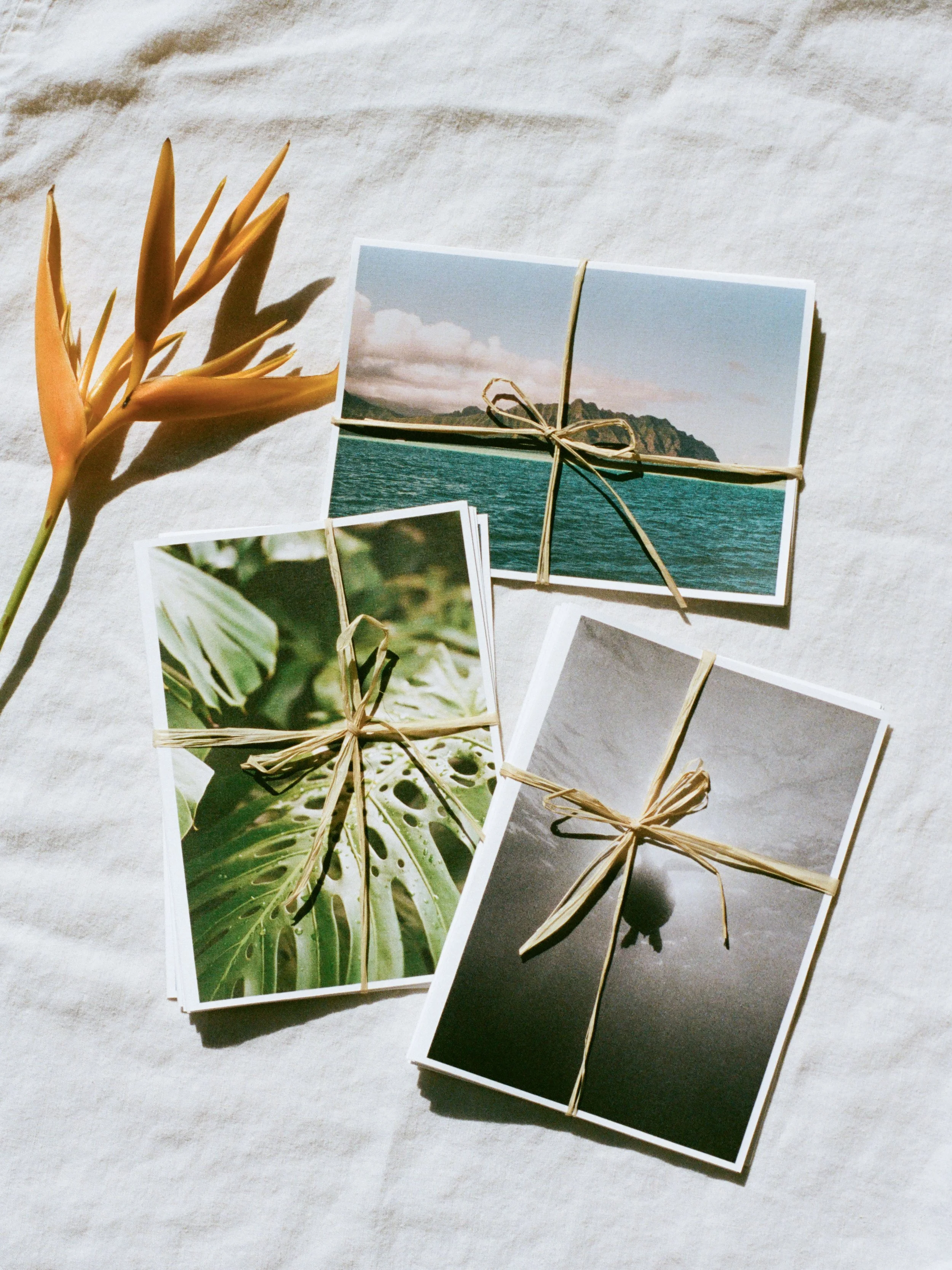 Cards ~ Set of 5