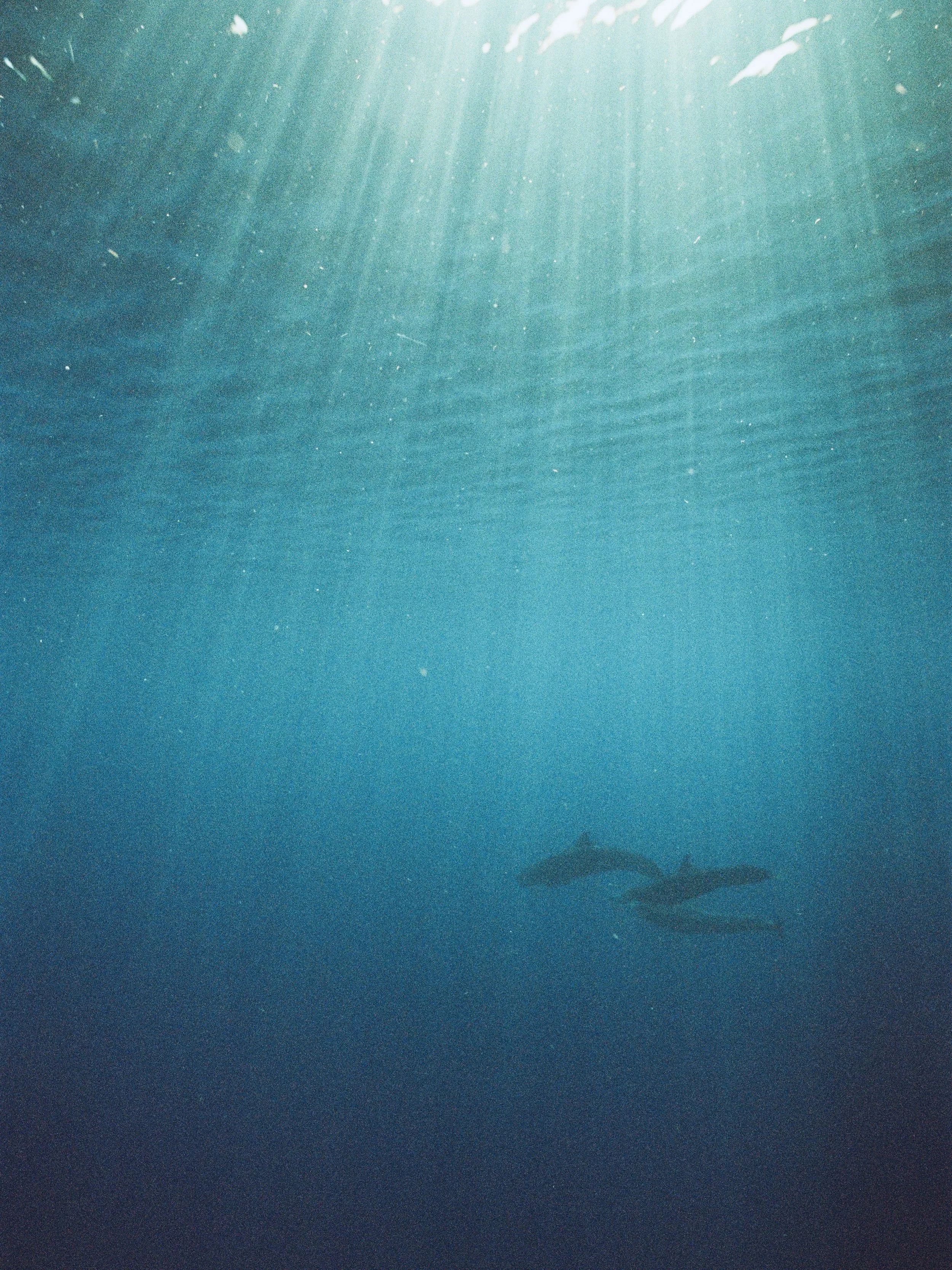 000754130006.jpg