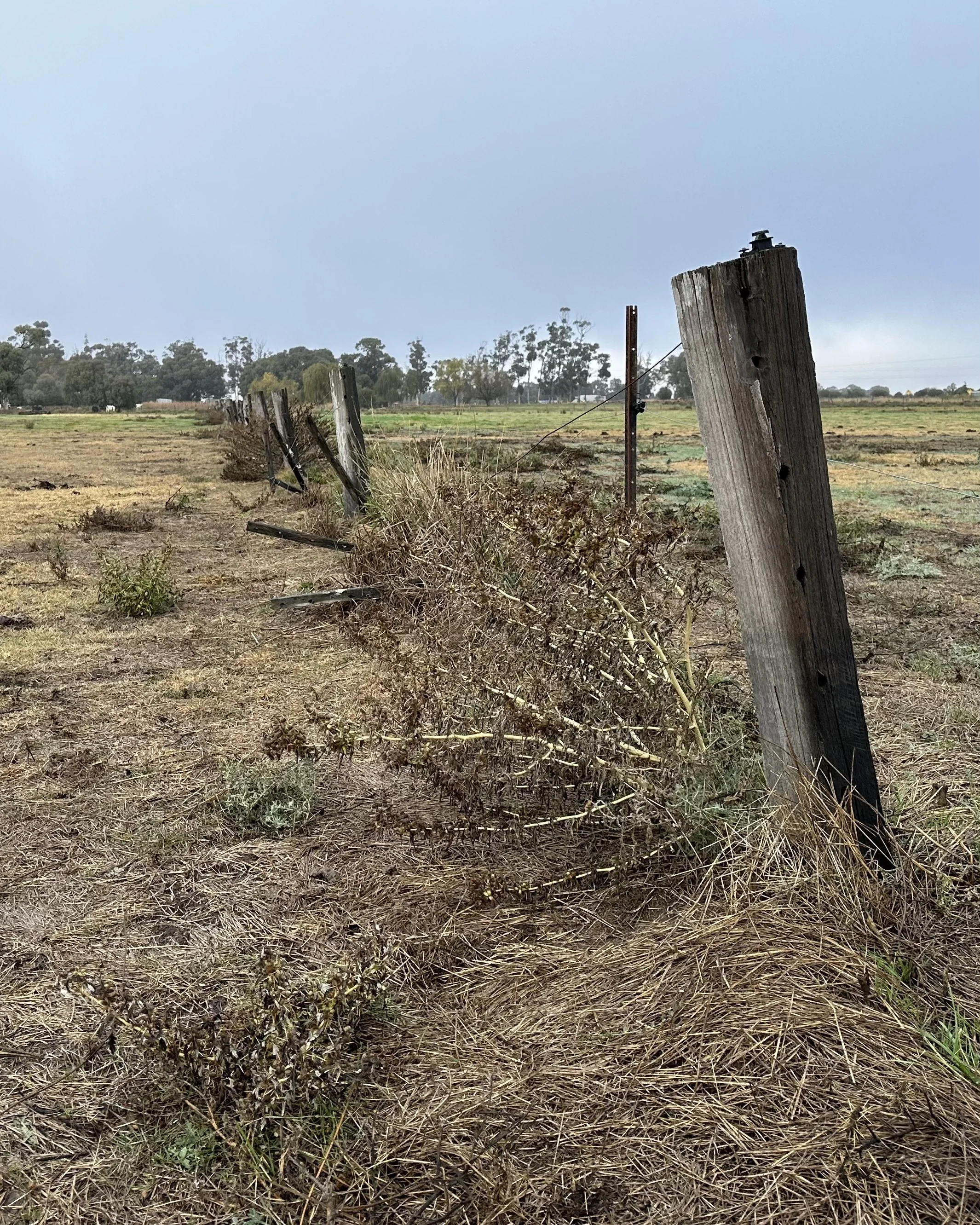 5 Common Fencing Mistakes (And How We Avoid Them)