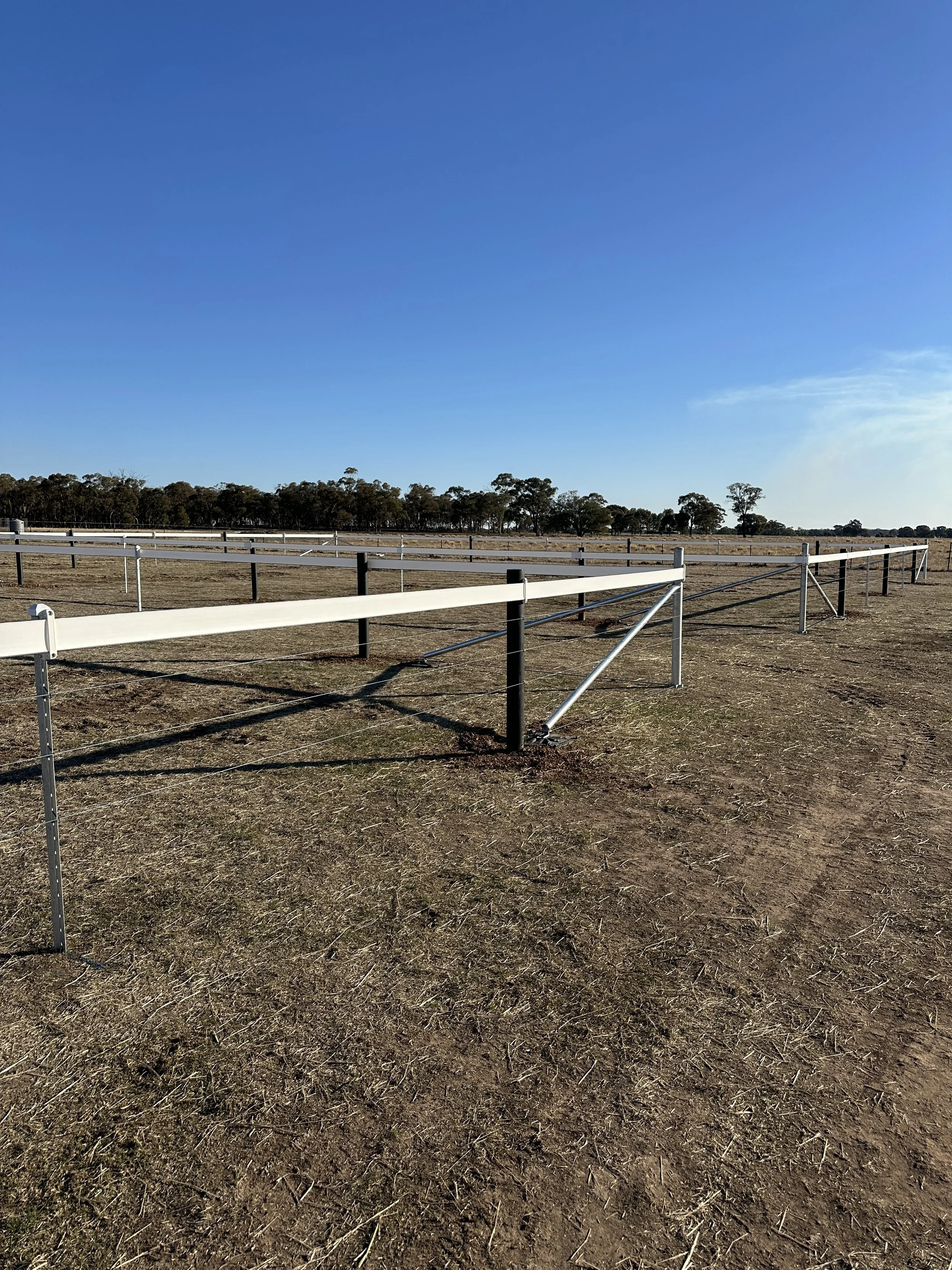 The Best Fencing Options for Sheep, Cattle and Horses
