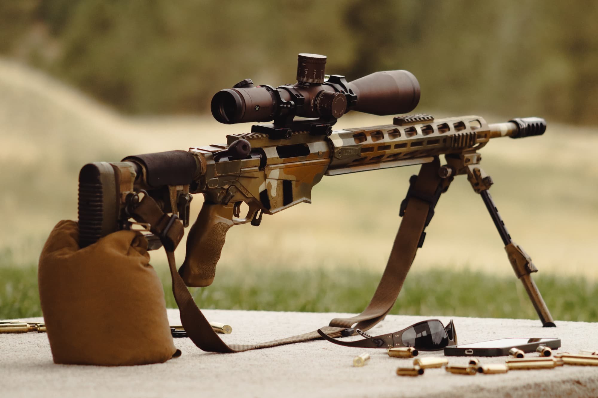 Precisionfighter Rifle Setup-compressed.jpg