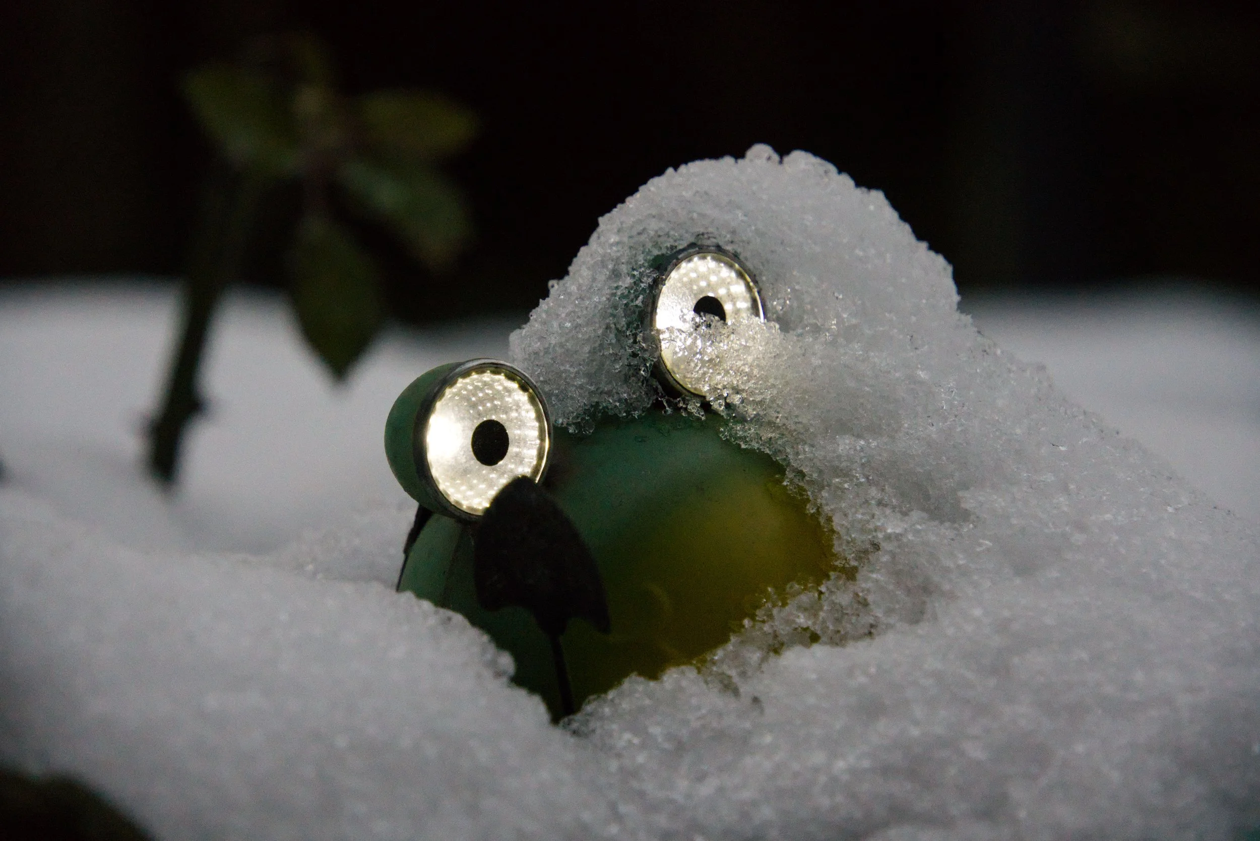 SnapsByBai | 52 Weeks 2025