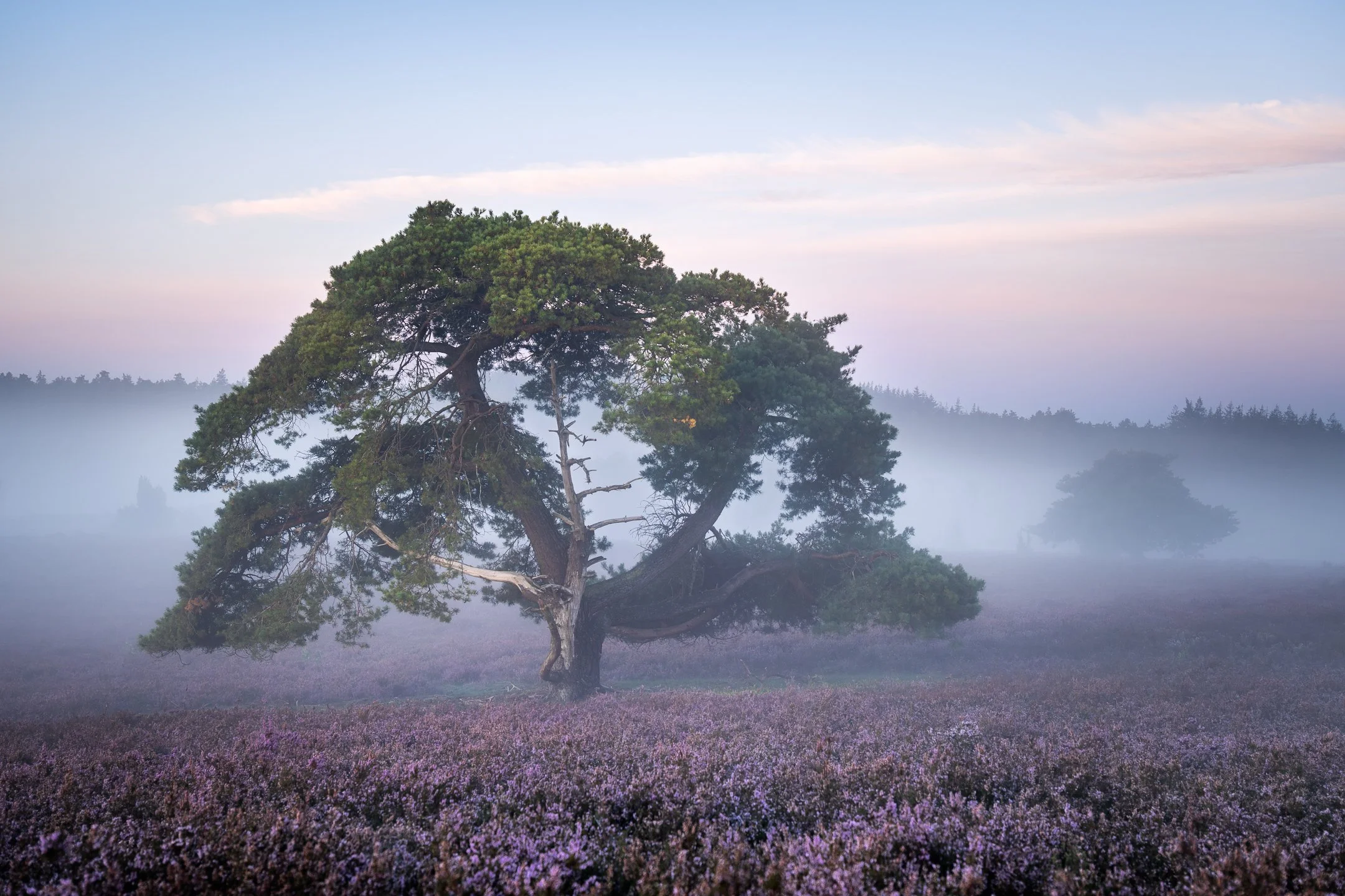 Nikki K. | Photoclass 2025