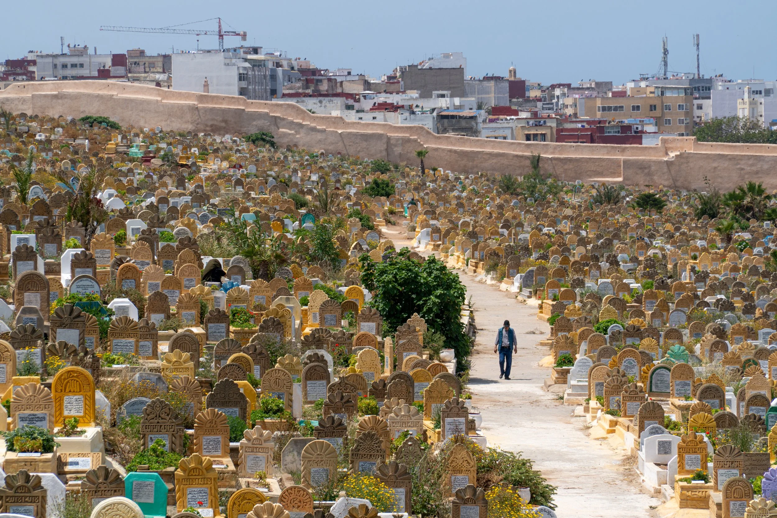 Walter Palagi | Photoclass 2024