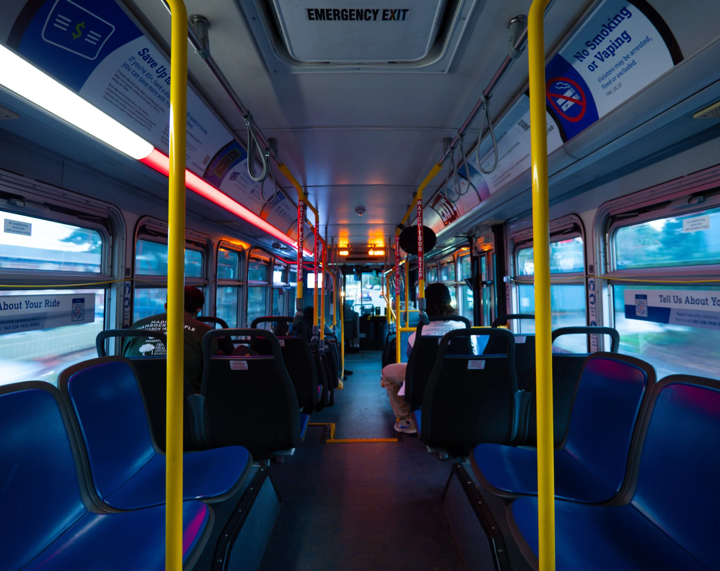 Dorina Vida | Photoclass 2025