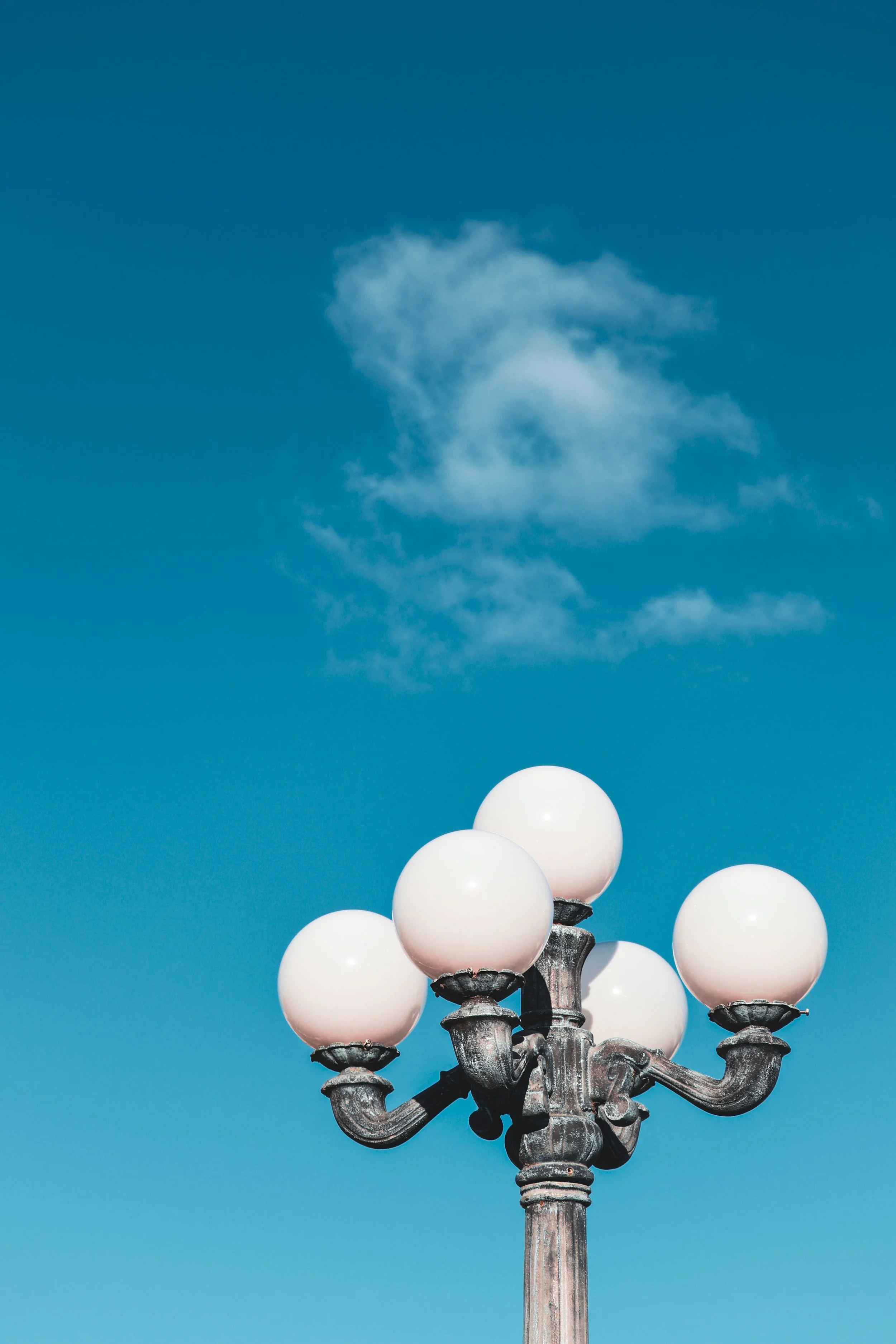 Sierra Viner | 52 Weeks & Photoclass 2026