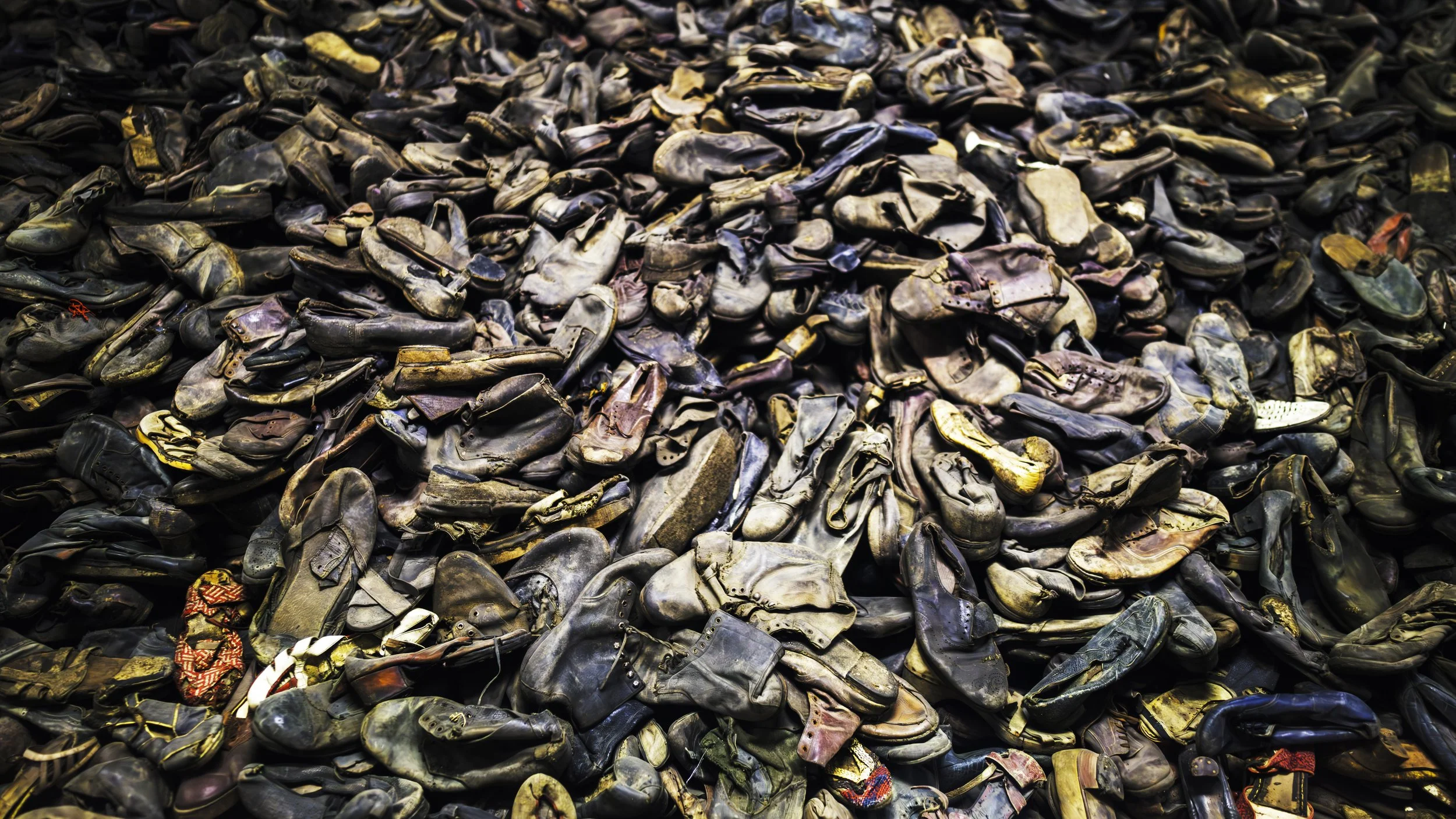 DSC09079-Enhanced-NR-Edit copy.jpg