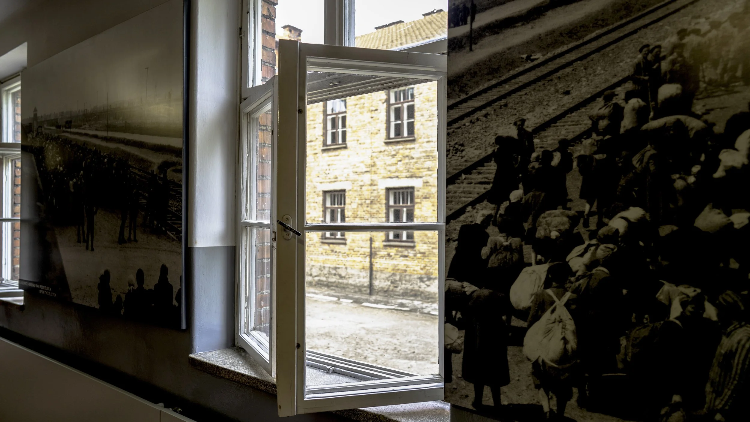 DSC09054-Edit copy.jpg